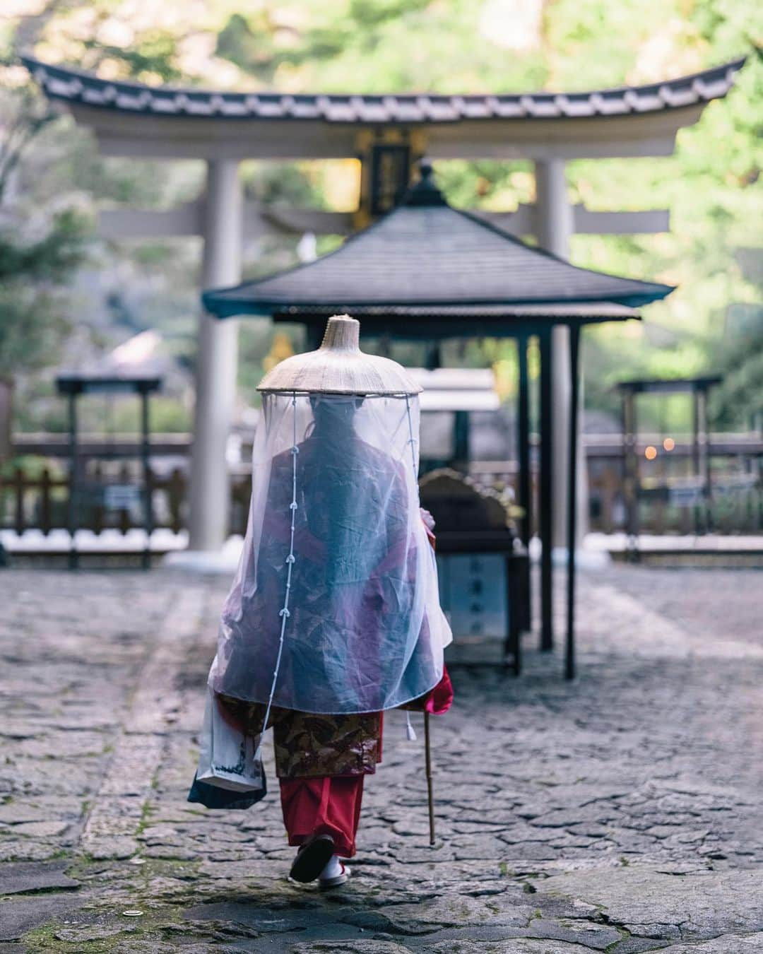 Nicanor Garcíaのインスタグラム：「Heart of water : Corazón de agua #nicanorgarcia @travelarchitectures  Among the mountains of Wakayama Prefecture is the heart of the Kumano Kodo pilgrimage route, with Nachi Falls, the highest in Japan at 133 meters. Next to it is the Seiganto-ji Shrine with its three-story pagoda called Sanjudo.  #visitwakayama @visitwakayama  Entre las montañas de la prefectura de Wakayama está el corazón de la ruta de peregrinación del Kumano Kodo, con las cataratas de Nachi, las más altas de Japón con 133 metros. Al lado se construyó el santurario Seiganto-ji con su pagoda de tres pisos llamada Sanjudo.」