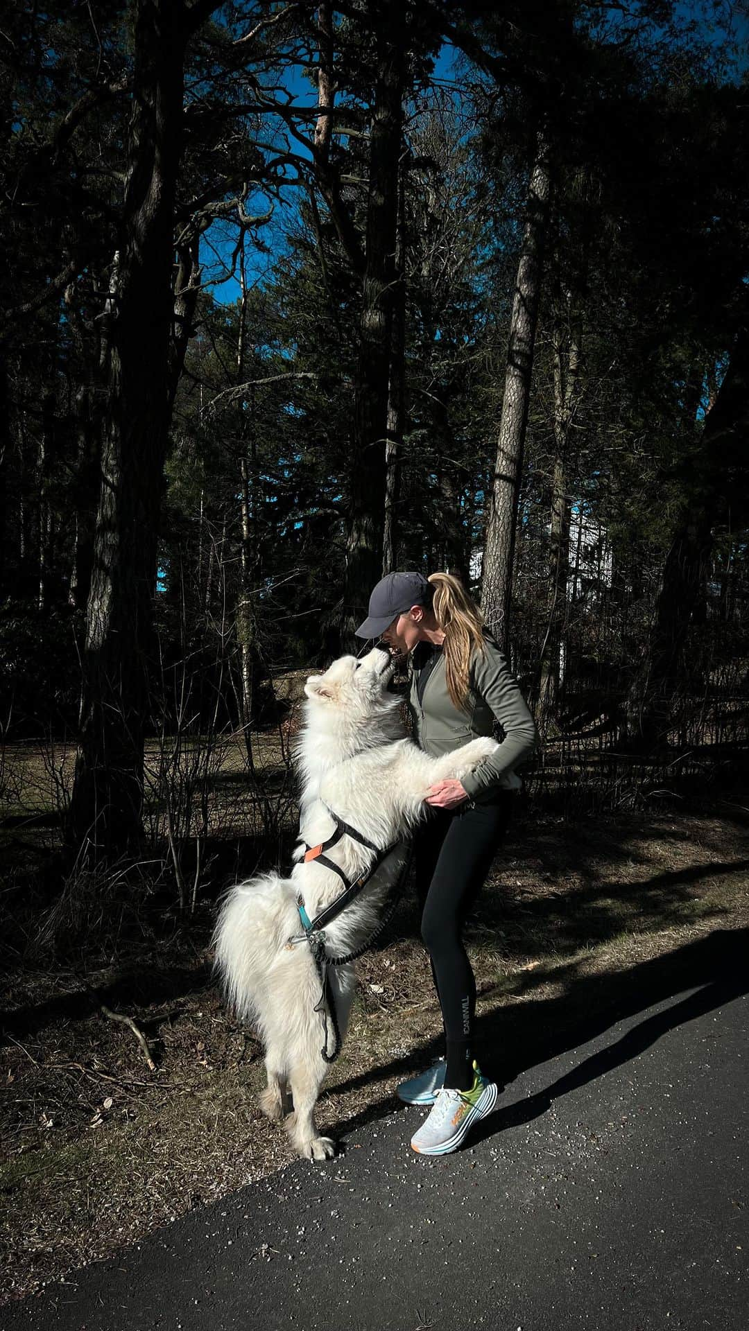 Caroline Berg Eriksenのインスタグラム：「Reklame @official_lildog 🐻‍❄️🐾 Dette lille redskapet er perfekt for deg med en aktiv hund 🏃🏼‍♀️ Den tracker hvor hunden din er i sanntid, men du kan også se hvor den har vært og hvor mange skritt den har tatt i løpet av dagen 😍 @official_lildog er også helt nydelig å ha dersom du skulle oppleve at hunden din stikker av eller sliter seg - på den måten vet du akkurat hvor den befinner seg 😄👏🏻 Vi har hatt bruk for dette selv, ettersom vi har en inngangsdør som ofte er mer åpen enn lukket på grunn av små barn som løper inn og ut 😅 Derfor - spør du meg synes jeg denne lille saken er helt genial 😄👏🏻🫶🏻」