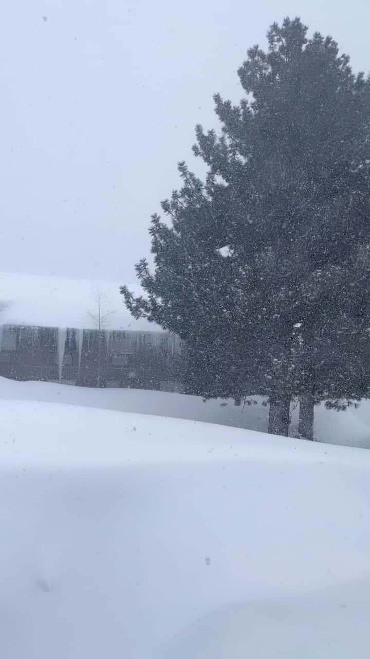 ケイティー・ルクレールのインスタグラム：「What’s the most snow you’ve ever seen??」