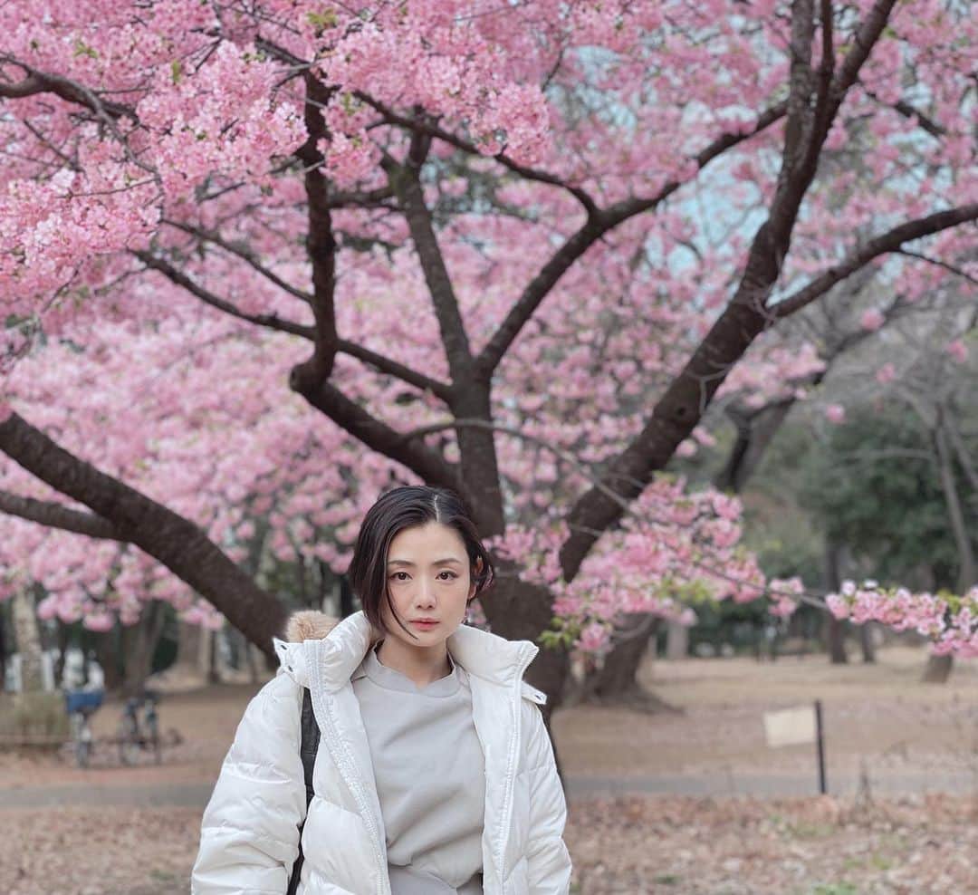 片山萌美のインスタグラム：「🌸  #cherryblossom  #spring  #moemikatayama  #河津桜」
