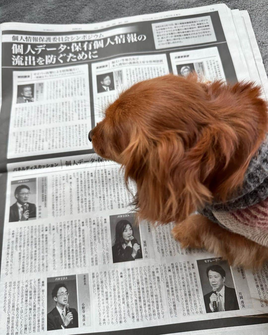 菊間千乃のインスタグラム：「この間の個人情報保護委員会のイベントの内容が、今朝の日経新聞に掲載されました🐕🐕🐕」