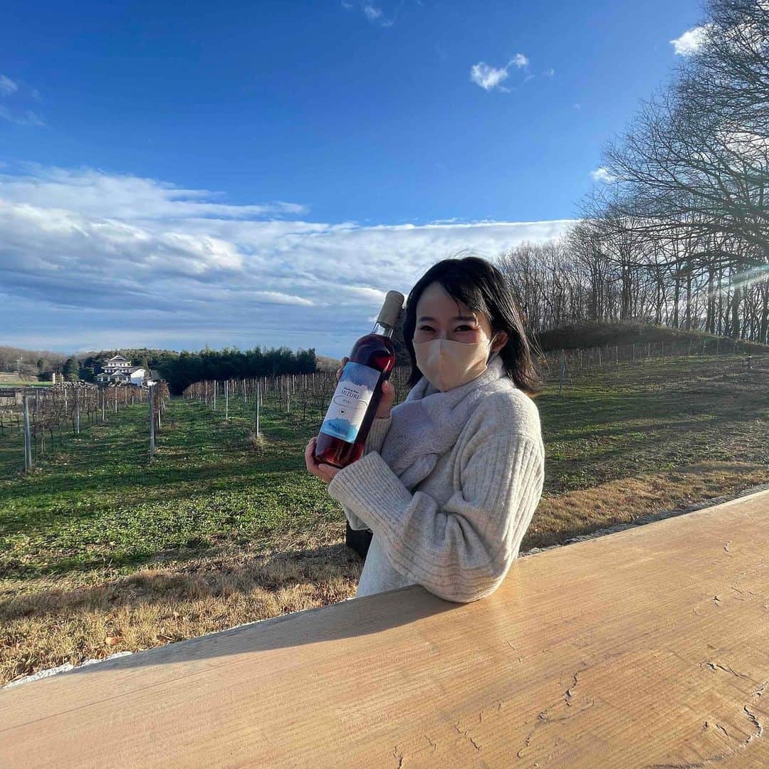 女子アナ47のインスタグラム：「ごきげんよう、フリーアナウンサーの木村彩乃です。  @ayano.sweets  ミスワイントップ8に選出して頂けるほどワイン好きな私は、全国のワイナリー巡りが趣味の1つ。今回は、局アナ時代暮らしていた栃木県へ行ってきました！ すると…ぶどうのみならずブルーベリーやスイカなど珍しいワインに出会えました！   詳しくはプロフィール欄にあるURLから【47発信プロジェクト】をご覧ください！   #女子アナ47 #フリーアナウンサー #地方創生 #47発信プロジェクト #スイーツアナウンサー #ミスワイン #栃木県 #那須 #那須661ワインヒルズ #ワイナリー #日本ワイン #ワイン #ブルーベリーのワイン #ブルーベリーのパスタ #ブルーベリー」