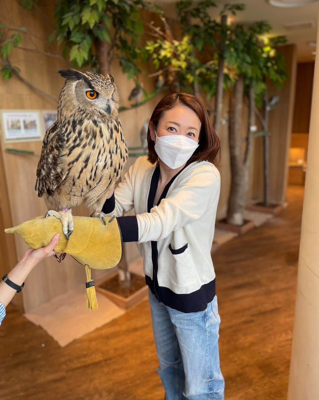 田中雅美さんのインスタグラム写真 - (田中雅美Instagram)「フクロウ🦉 透き通る眼球が印象的でした。  ・ ・ #ふくろう #🦉 #みみずく #ママだけ #子供たちは怖がり」3月6日 8時39分 - tanakamasami_official