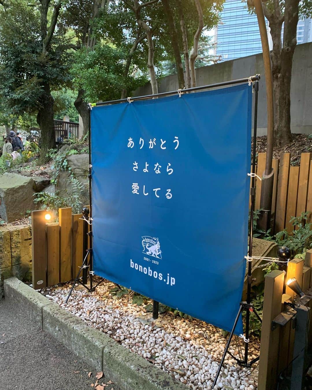 松井泉さんのインスタグラム写真 - (松井泉Instagram)「お疲れさまでした！！！！！ #bonobos_last」3月6日 10時36分 - izumimatsui