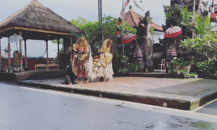 青葉市子のインスタグラム：「Barong,  I'm so happy to see you.  バロンが登場したとき、心の中に眠っていた森が一斉に芽吹くような心地だった。登場と共に朝陽が差して、あたりにバロンの装飾から反射した光のシャワーが撒かれたこと。ガムランの心地よい響き。」