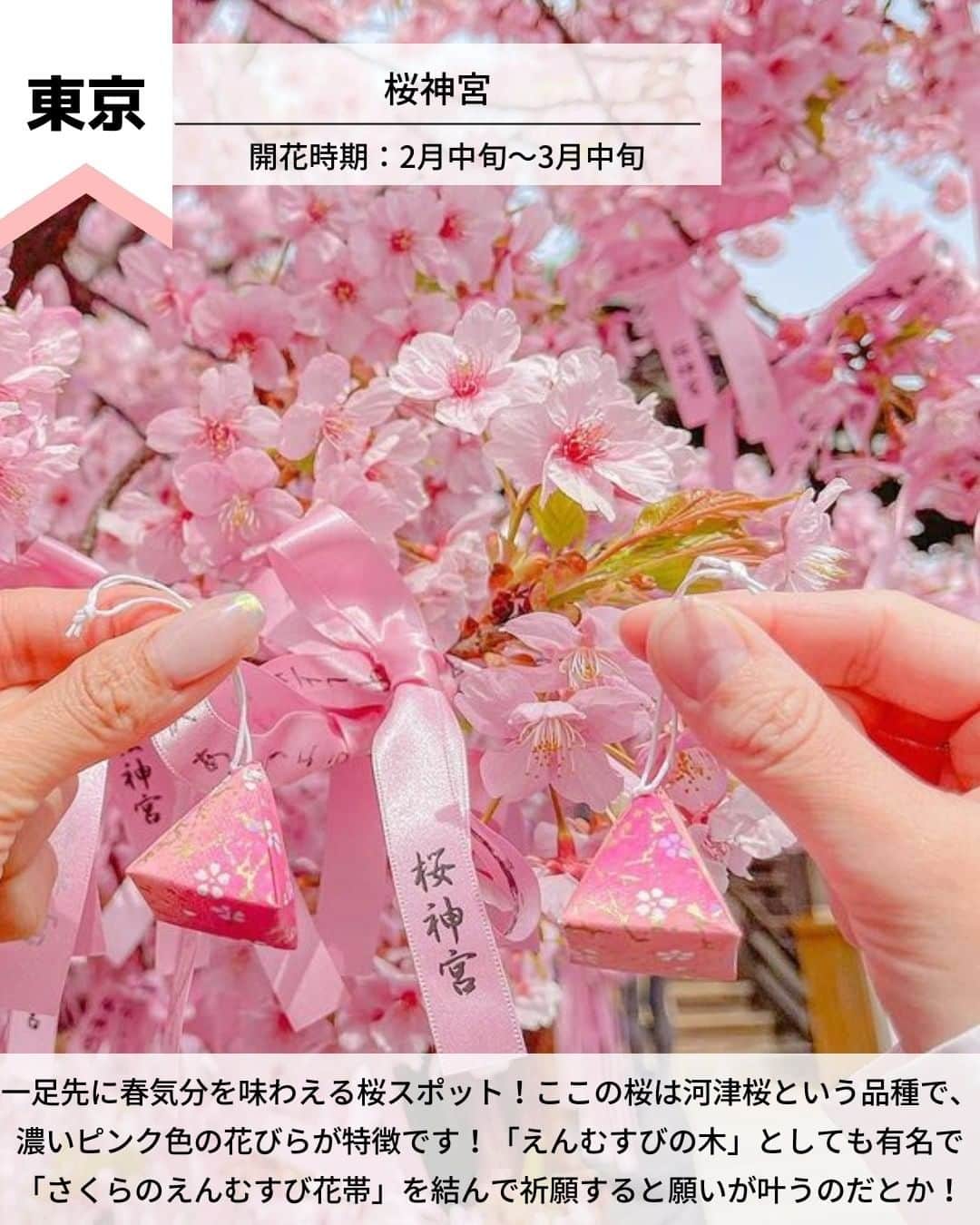 旅工房公式さんのインスタグラム写真 - (旅工房公式Instagram)「＼チェックしておきたい！桜の名所💞／   #関東 #お花見スポット #桜スポット   皆さんこんにちは！  3月に入り、少しずつ春が近づいてきましたね☀  今日はこの春行きたい！  お花見スポットを関東に絞ってまとめてみました🌸   ぜひ参考にして訪れてみてください＼(^o^)／ 💚   ━━━━━━━━━━━━━━━ ▽   お写真ありがとうございます❣   📍桜神宮 @_____mi_____15さん  一足先に春気分を味わえる桜スポット！ ここの桜は河津桜という品種で、濃いピンク色の花びらが特徴です！ 「えんむすびの木」としても有名で「さくらのえんむすび花帯」を結んで祈願すると願いが叶うのだとか！   開花時期▷2月中旬～3月中旬  アクセス▷東急田園都市線桜新町駅 北口 から徒歩2分   📍幸手権現堂桜堤 @ktr_t0205さん  約1000本のソメイヨシノが1kmにわたって咲き誇る有名な桜の名所！  周辺には菜の花畑が広がり、桜の淡いピンク色と菜の花の黄色のコントラストが◎ 思わずカメラに収めたくなる贅沢な景色です！   開花時期▷3月下旬～4月上旬  アクセス▷首都圏中央連絡自動車道幸手ICから国道4号線経由約10分   📍千鳥ヶ淵 @emiri_chibaさん  皇居のお濠を彩る桜並木が美しい定番のお花見スポット！  ソメイヨシノをはじめとする約260本の桜が咲き誇ります！  ボートに乗って水上から桜を楽しむことができ、外国人観光客からも人気の場所です！  開花時期▷3月下旬～4月上旬  アクセス▷半蔵門駅から徒歩5分   📍目黒川 @chee.tripさん  池尻大橋駅付近から約4kmに渡り桜並木が続く、都内でも有名な桜スポット！ 今年は桜まつりなどのイベントも開催され、日没後はライトアップやぼんぼりの点灯もされる予定です！   開花時期▷3月下旬～4月上旬  アクセス▷JR目黒駅から徒歩約10分   📍成田市さくらの山 @yuuki713.canon さん  飛行機の離着陸を一緒に楽しめる珍しいお花見スポット！  成田空港近くにあるここは「飛行機の見える丘」としても有名です！  咲き誇る約500本の桜の木の下で、飛行機を眺めることができますよ◎   開花時期▷3月下旬～4月上旬  アクセス▷東関東自動車道成田ICから車で約10分   📍小田原城址公園 @wifoliasoi さん  年間を通して様々な花や植物を楽しめる小田原城址公園！  桜の時期には約300本が開花し、小田原城と桜の美しい組み合わせを見ることができます！ 日没後は、例年ライトアップも開催されています！   開花時期▷ 3月下旬～4月上旬  アクセス▷小田原駅から徒歩10分   海外・国内問わず、素敵なスポットやグルメ、アイテムの写真にはぜひ #旅工房 や @tabikobo をタグ付けして下さい💕   ━━━━━━━━━━━━━━━   #旅工房 #旅pocket #女子旅 #お花見 #桜の名所 #桜 #お花見 #花見 #桜ライトアップ #桜まつり #桜祭り #桜吹雪 #桜巡り  #お花見デート #お花見ピクニック #お花見散歩 #お花見ランチ #お花見パーティー #お花見サイクリング #お花見ドライブ #東京桜 #東京桜スポット #桜並木 #夜桜 #夜桜ライトアップ #春のお出かけ」3月6日 12時29分 - tabikobo