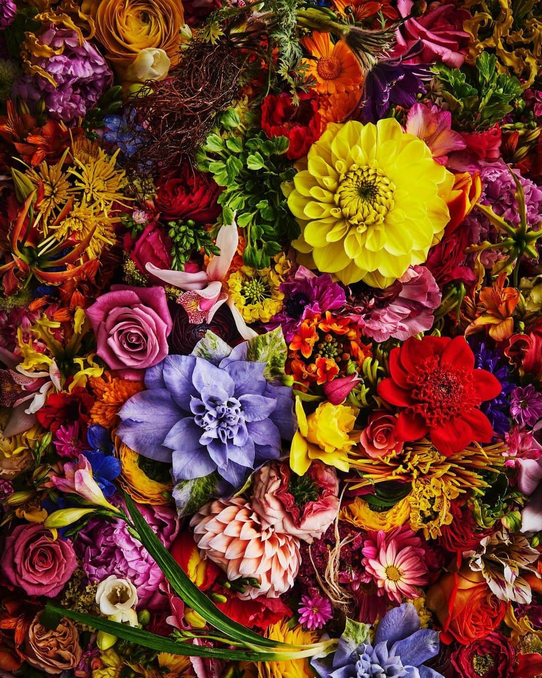 東信さんのインスタグラム写真 - (東信Instagram)「2023Flowers #amkk #amkkproject #makotoazuma #azumamakoto #東信花樹研究所 #東信 #jardinsdesfleurs #shiinokishunsuke #flowerart #flower #flowers #2023」3月6日 12時42分 - azumamakoto