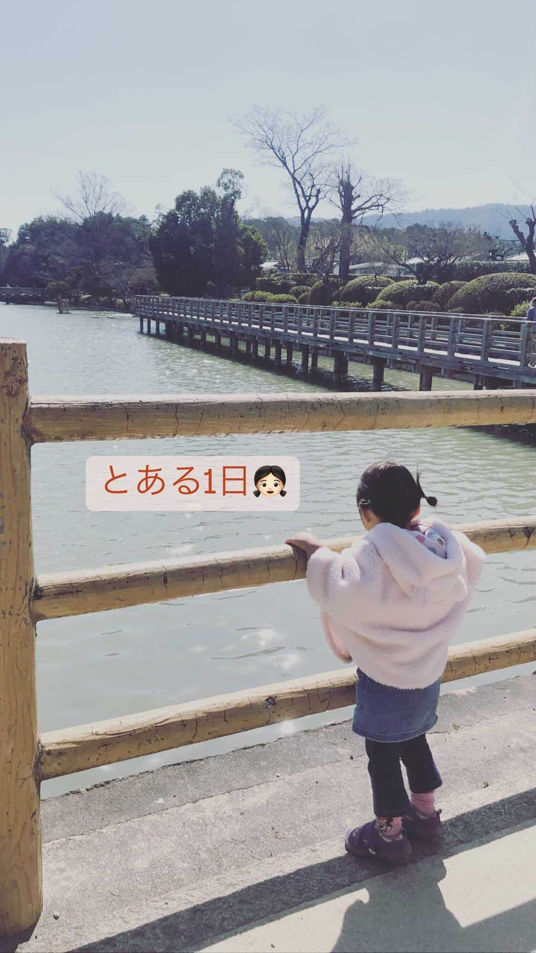 三浦絵里菜のインスタグラム：「ときさんのとある1日👧🏻  池見ながらお昼食べて、神社に行ったり公園に行ったりパン屋さんに行ったり、たーくさん歩いた🏃‍♀️🏃‍♀️  シャボン玉したいと言うので買いに行って、また違う公園へ😂 シャボン玉して公園で遊んで帰宅。  夕飯は完食したのにりんごとパンを追加するという食べっぷり😋 私より食べている😂  今日はスガワラノミチザネも覚えたし笑 パパが2週間ぶりに寝る直前に帰って来て、とても嬉しそうで一緒に寝てた😂 きっと楽しい1日になったんではないだろうか👧🏻🌸  #スガワラノミチザネ #長岡天満宮 #梅の花  #2歳2ヶ月 #よく喋るし歌う  #こどものいる暮らし #1万歩まであと少し  #2歳児のいる暮らし」