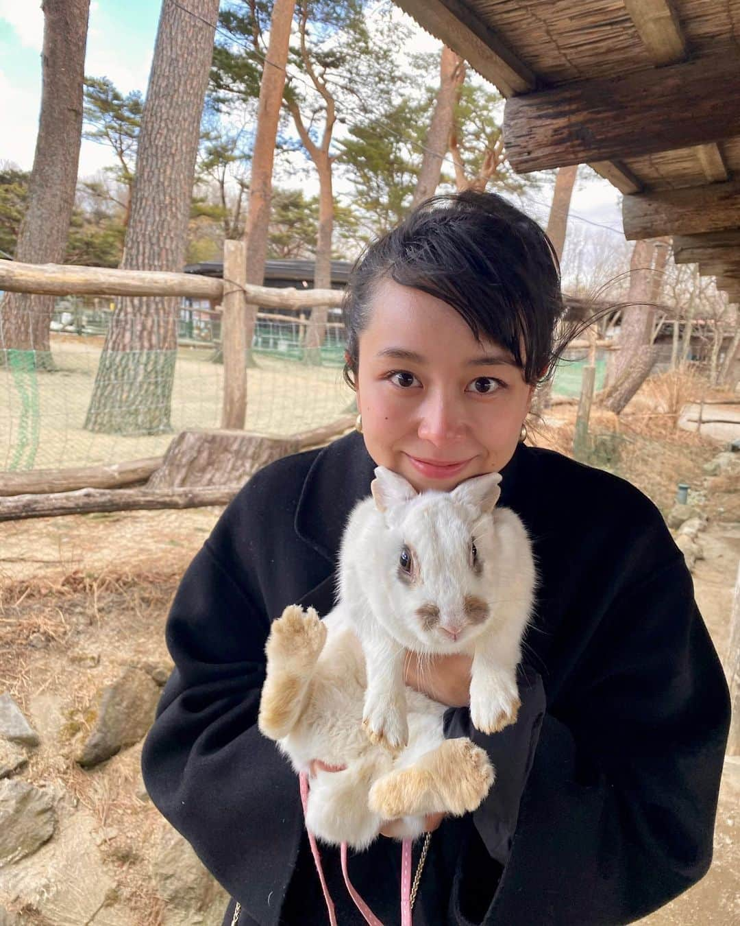 佐藤ミケーラ倭子のインスタグラム：「散歩させてくれた🐰 寒いから1分でおわり！🍥」