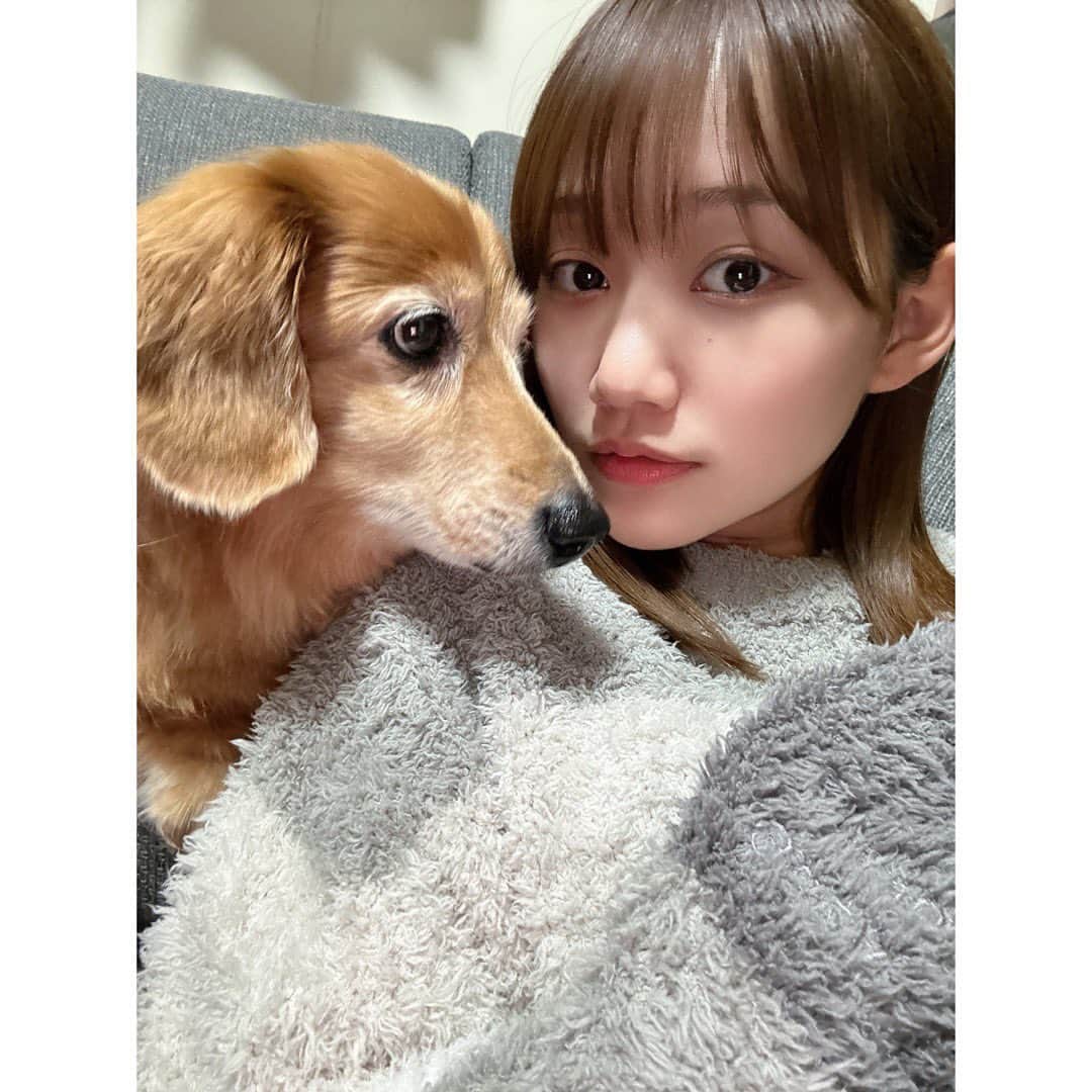 のインスタグラム：「今日はドルちゃんの14歳のお誕生日でした🎂  2枚目の温度差すごい💗ラブ💗」