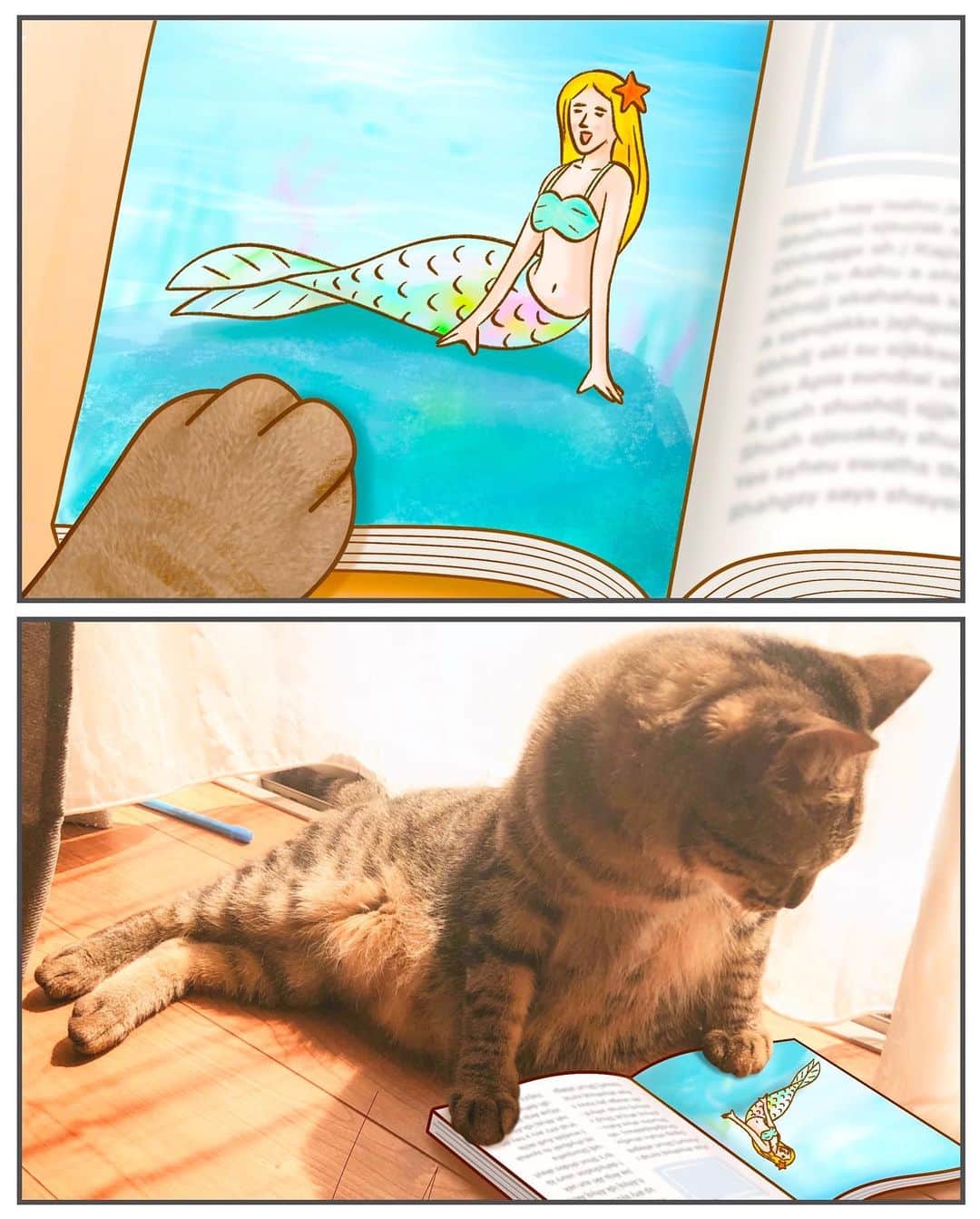 keigoのインスタグラム：「🐈🐠 #illustration」