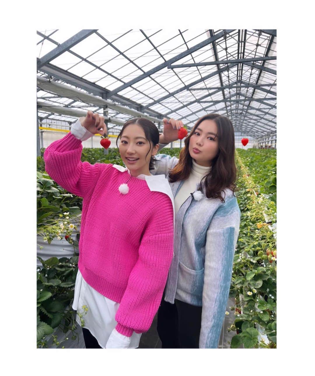 箭内夢菜のインスタグラム：「『未完のいわき』 五感を満たす、いわき旅 vol.4～旅好きファミリー編～ が公開されました✨  今回はお久しぶりの玲奈さんと一緒に、またいわきで五感を感じてきました☺️💕  いわきといえば！の アクアマリンふくしまに行ったり🐠 旅館でおいしいご飯を頂いたり🍲 いちご狩りをしたり🍓 化石を発掘したり！🪨  たくさん楽しんできました😍 ぜひぜひYouTubeで！『未完のいわき』 調べてみてください☺️   #未完のいわき」