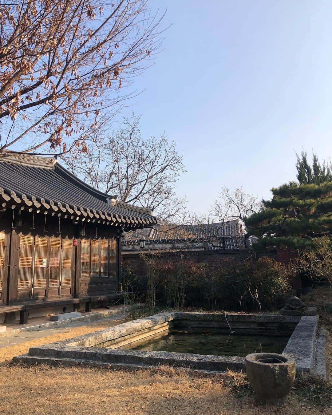 Baekのインスタグラム：「韓国に行ってきました！ 弟がこれから兵役に行くのでその前に家族にあいに1週間ほど帰ってきました。  いつもは実家のソウルでゆっくりしているんですが今回は家族行事でジョンジュ(전주)という地方に行ってきました。ジョンジュは、ジョンジュビビンバと言って、ナムルとご飯を一緒に食べる料理、ビビンバの発祥地です。 他にハンオクという韓国の伝統家屋も保存されていて、今回は伝統家屋に泊まりました。池もついていたり、家具も鶴や亀など動物モチーフの古い家具があったりして可愛かったです。家の前には大きな壺がたくさんありますが、昔の人々はあのツボに味噌や、キムチ、塩、ゴチュジャン、醤油を保存していて夏は土に埋めて保存したりしたようです。(今の時代の冷蔵庫のような！)  私の母もいくつか持っていて塩やみそを保管してました。塩は特にあの土で作られたツボに置いておくと余分な塩分が抜けサラサラになり甘味と旨味が増すようですが、母にもらった塩は塩だけ舐めても本当に甘い味がしました！不思議…  あと、松の実がたくさん入っている黒い液体はサンファタンという冬の漢方？の飲み物で、風邪のひき始めなどに飲むものですが、人生初めて飲みました！卵の黄身を入れて飲むスタミナ飲み物のようでした。スタミナすぎるのかポカポカして飲んだ後鼻血が出ました。  韓国の食の話が長くなりましたが私の家族は日本の食が大好きで、弟にしばらく会えないということで、上手じゃないけどなんか作ってあげたい！と思いなにがたべたい？ときいたらちらし寿司！ということで日本で材料を買って帰ってちらし寿司を作って家族みんなで食べました👨‍👩‍👧‍👦(五目ごはんとちらし寿司の素、いくらの醤油漬けに助けられた…！)  弟が無事に帰ってこれるように！帰ってきた時はもう少し美味しいちらし寿司が作れるように奮闘します！弟、行ってらっしゃいー👋🏻  #韓国旅行」