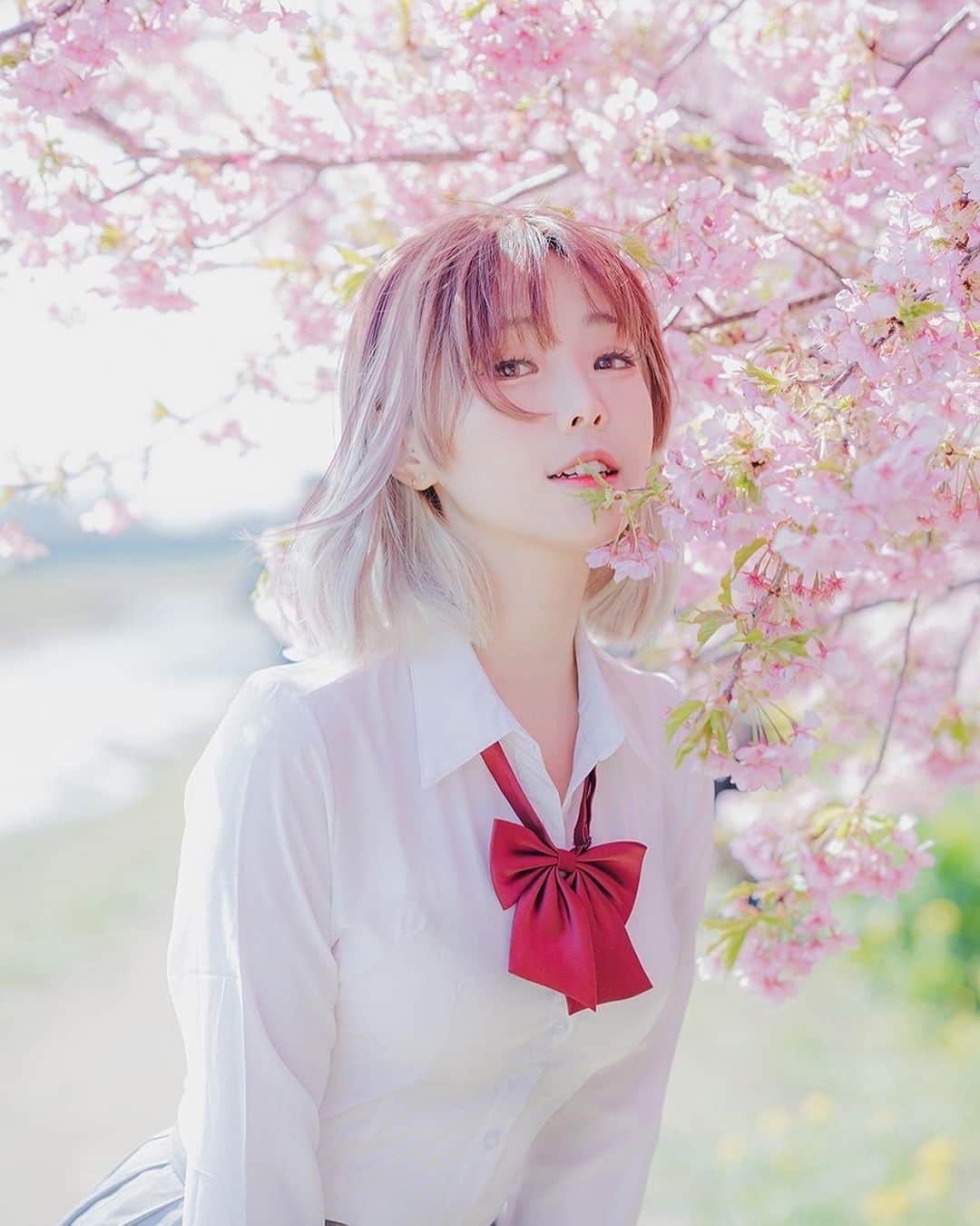 Elyのインスタグラム：「Hello everyone, it's March ! It's the season when everything is in full bloom, and I hope you can all enjoy this beautiful time of year. In this month, let me take you to appreciate the early-blooming cherry blossoms together.🌸🌸🌸  ✧～✧～✧ もう3月になりましたね！ 花が咲き誇る春の季節です。この美しい季節を存分に楽しめるといいですね。 今月の写真セットはこちらです、早咲きの桜を一緒に楽しみましょう。🌸🌸🌸  ✧～✧～✧  一個眨眼，到三月了！✨ 漸漸越來越暖的天氣，希望你們都能好好地享受這美好的季節~ 在這個月份，讓Ely帶你一起欣賞早早來訪的櫻花🌸🌸🌸 ✦歡迎加入收藏完整寫真  #ely #elycosplay #portrait #sakura #制服 #uniform」