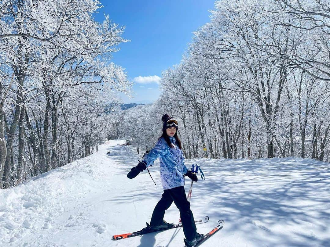 伊藤みくのインスタグラム：「⁡ ⁡ 樹氷の廊下 みつけた...❄️❄️❄️ ⁡ 白馬コルチナスキー場の お気に入りコースにて🎿 ⁡ ⁡ ⁡ ⁡ ⁡ ⁡ ⁡ #白馬コルチナスキー場 #白馬 #スキー女子 #スキー好きな人と繋がりたい #スキーが好きだ #白馬旅行 #長野県観光 #長野県白馬 #家族スキー⛷」