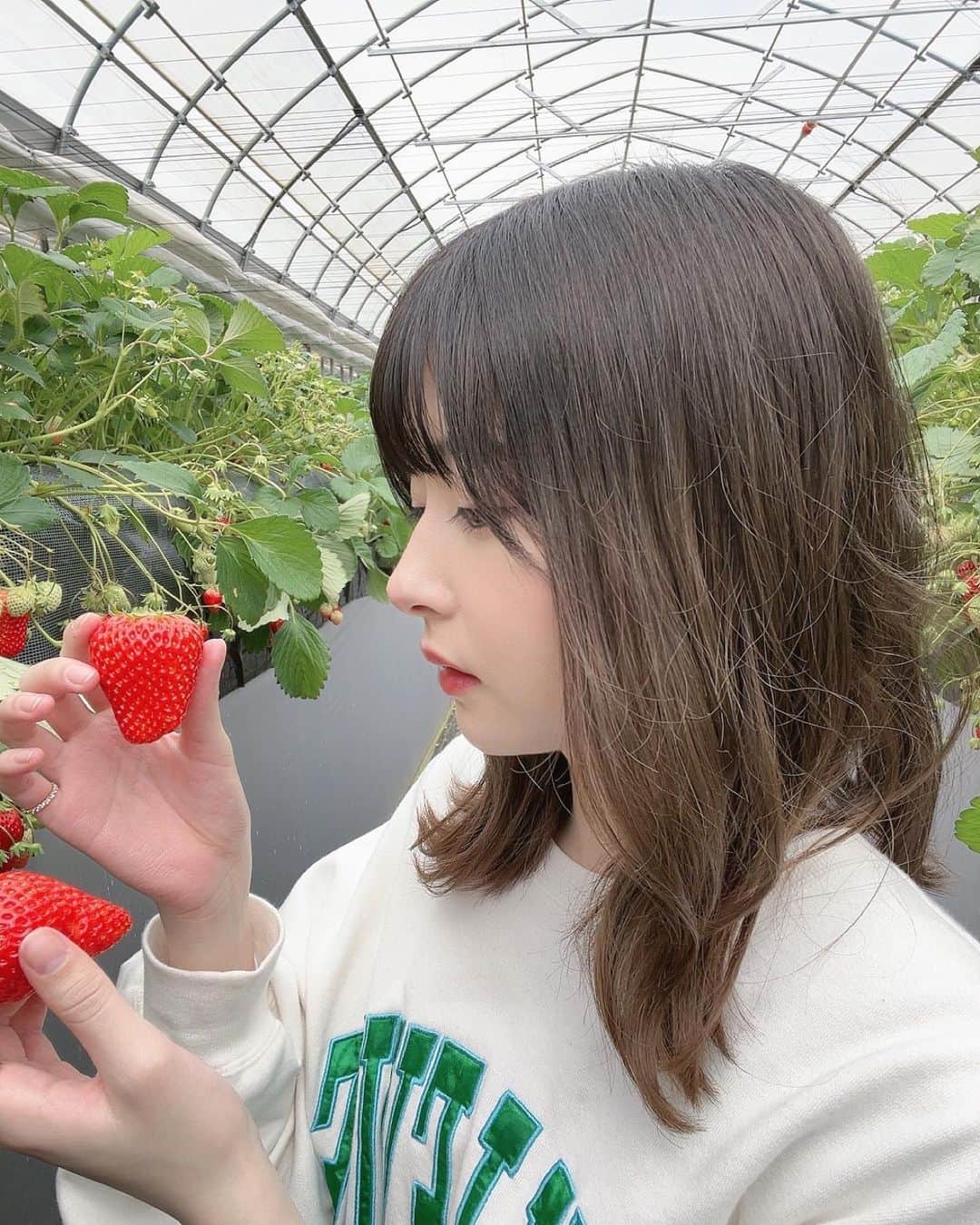 小高実優のインスタグラム：「. いちご狩りいってきたよ🍓  多分小学生ぶりとかかな~？ 色んな種類のいちごがあって食べ比べとかした··͜· ︎︎  久しぶりに家族とおばあちゃんとお出かけでした♡  髪の毛静電気でやばい！笑  #いちご狩り」