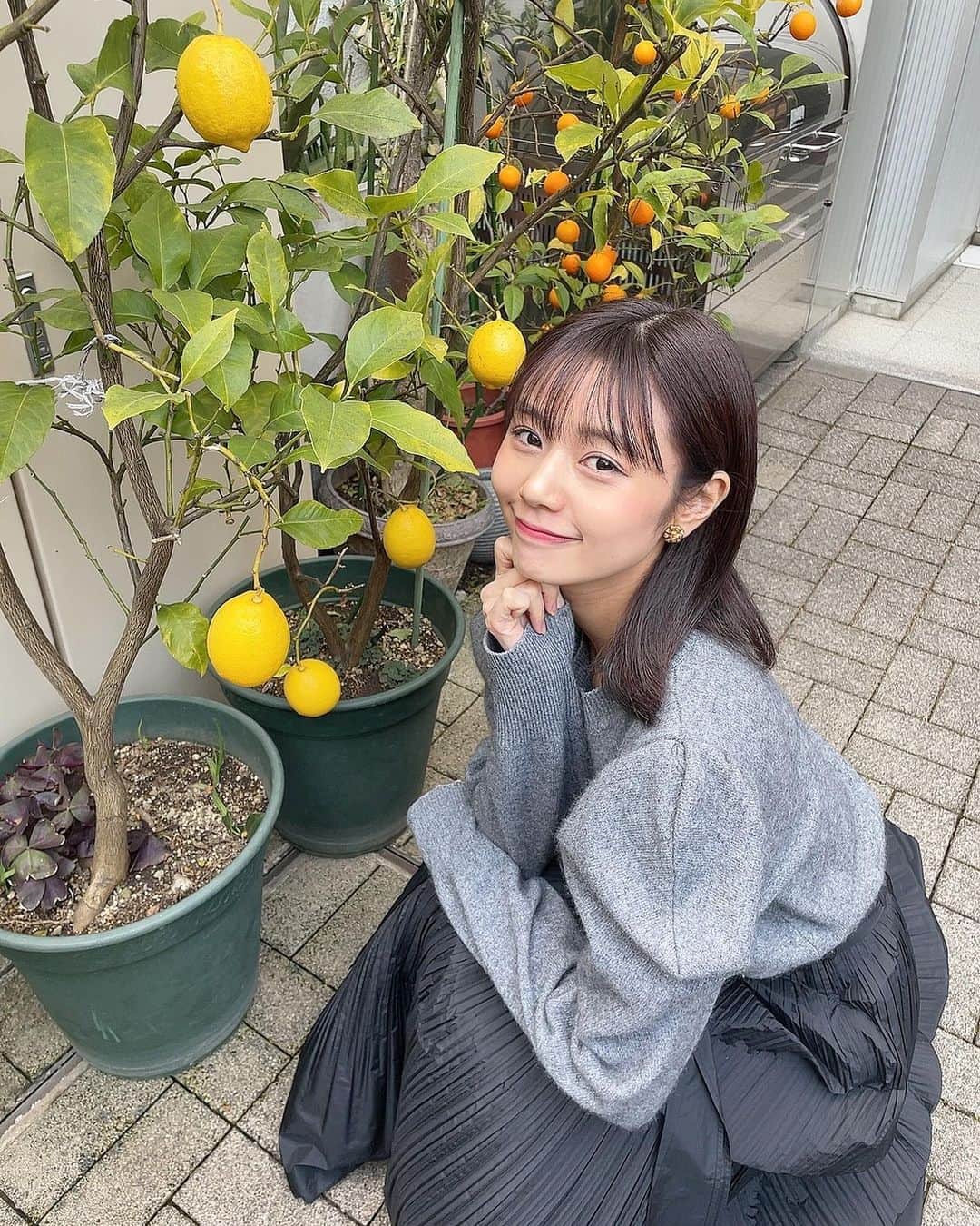 杉浦みずきのインスタグラム：「. カフェの前にレモンが実ってた〜🍋 可愛くてぱしゃ」
