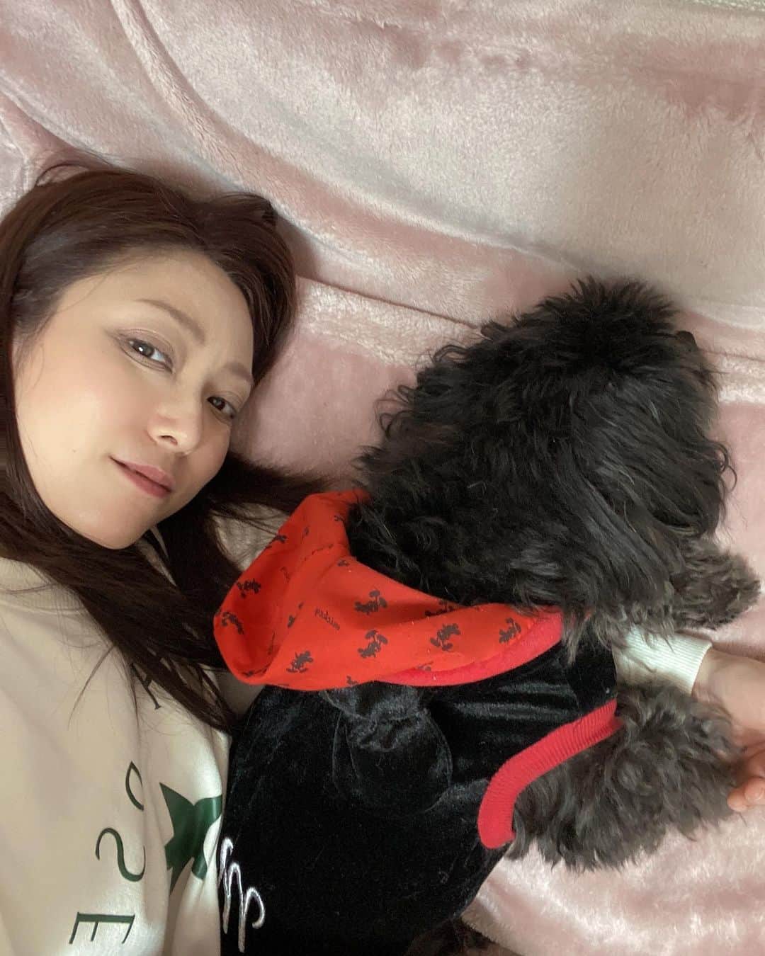 白木優子のインスタグラム：「手は痺れるけど この上なく幸せな時間❤️ #白木優子 #アラフィフ #熟女 #家族 #チワプー #チワプー男の子  #family」