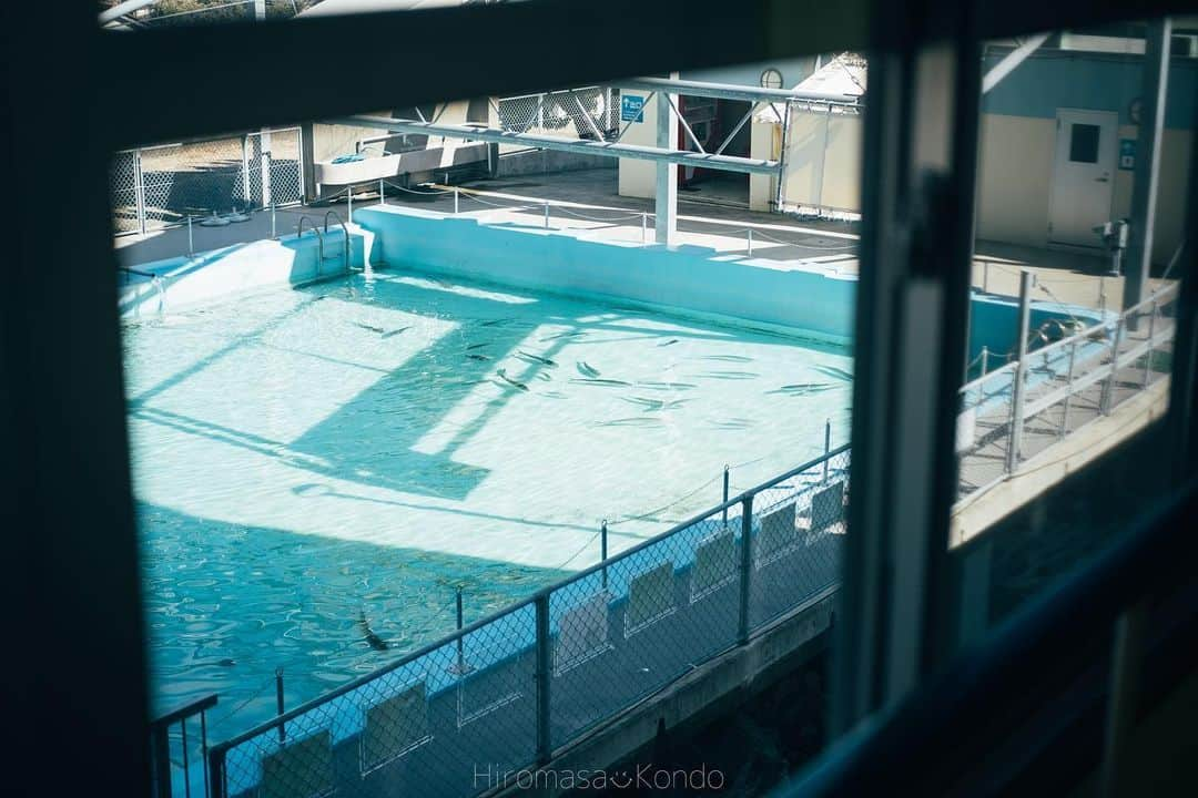 こんちゃんさんのインスタグラム写真 - (こんちゃんInstagram)「高知県のむろと廃校水族館🐟 廃校を利用していろんな魚を展示してるんだけど、跳び箱やAEDやプールが水槽になってたり壁に飾ってある習字はイカ墨で「出港」とか「豊漁」とか書かれてたり面白かった😂  そもそも小学校なんてめっちゃ久しぶりに入るからすんごい懐かしい！うわっ！なっっっっつ！！！！！てずっと連呼してた。笑 写真撮りまくってた高知県はもう今回で終わり。よー撮った！！！！  最近はだんだんと暖かくなってきて春を感じる🚐 車中泊も寝袋に入らずに毛布で済むような日もあったり服も着込まずに外出れたり過ごしやすくなってきた。 あとようやく季節が俺に追いついてきて、裸足とサンダルでも白い目で見られなくなった😂 今度お弁当でも買ってゆっくり花見でもしましょうかね🍱 #とったび #むろと廃校水族館  #高知」3月6日 21時35分 - hiromasakondo