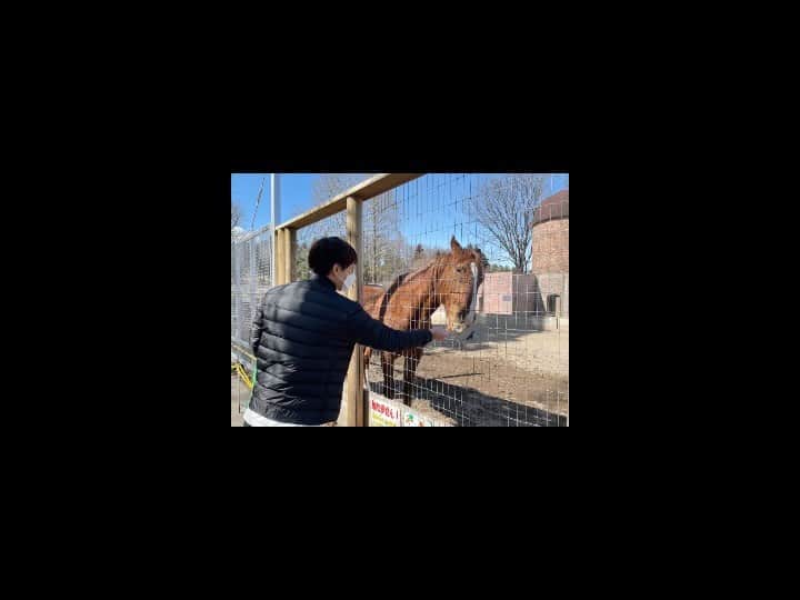 本田朋子のグルメインスタ