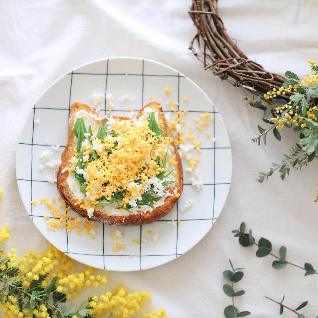 きなこのインスタグラム：「明日8日はミモザの日☺️ ふわふわミモザで今年はリースを作りました🌿 冬に息子と山でツルを取って作ったリースを、春のリースにリメイク♩ 部屋の中にも春がやってきた🌸  毎年作っているミモザトースト、今年はねこねこ食パンでミモザねこトーストに🐱♡」