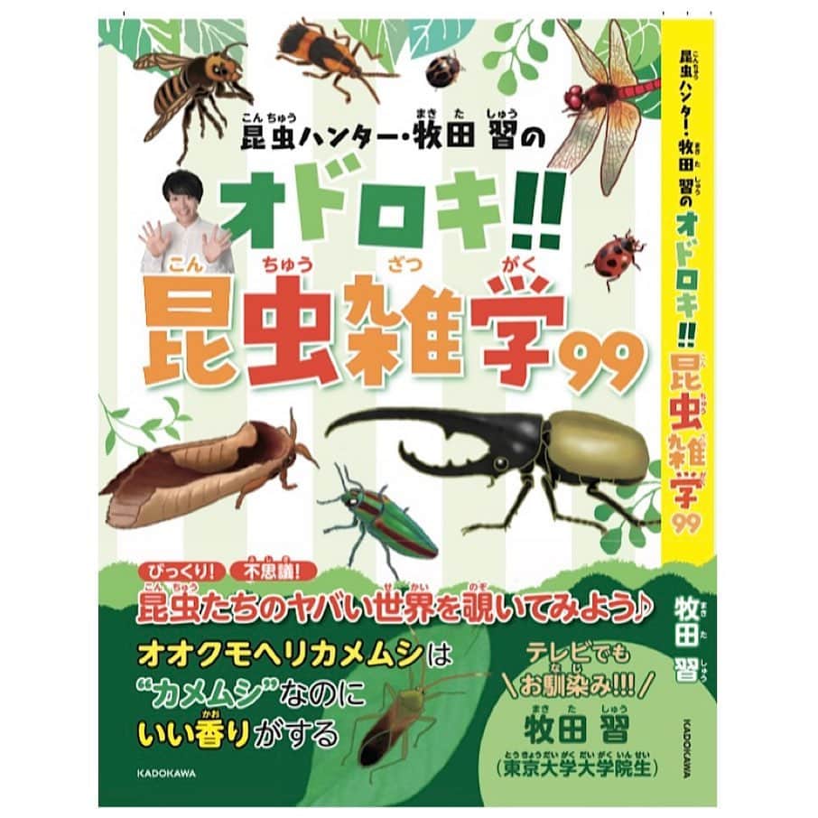 牧田習さんのインスタグラム写真 - (牧田習Instagram)「【本が出ます！】  4月28日にKADOKAWAさんより「昆虫ハンター・牧田習のオドロキ!!昆虫雑学99」という本を出版させていただくことになりました！！  虫好きな方から虫嫌いな方まで、皆さんに楽しんでいただける内容になってるかと思います！  Amazonで注文予約もできるそうです！  ぜひよろしくお願いいたします！✨  #昆虫ハンター」3月7日 8時51分 - shu1014my