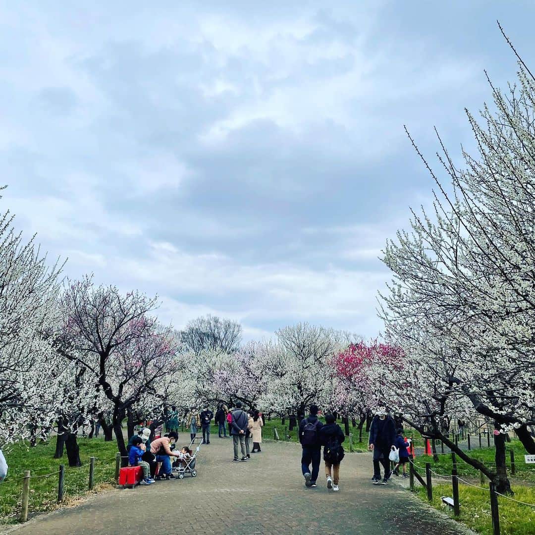 中山裕子のインスタグラム：「梅園の散策  どんより曇ってたけど 梅の香り漂って 気持ち良かった🙌」