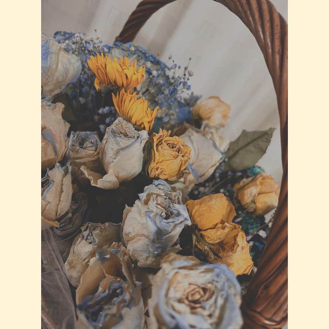 進藤あまねのインスタグラム：「💐*·̩͙𓈒𓂂𓏸  一緒に住んでるおばあちゃんが、いつも私が持って帰ってくるお祝い花をドライフラワーにしてくれたの✨ 綺麗すぎる……(´✪ω✪`)  #ドライフラワー #ねすぐらむ」