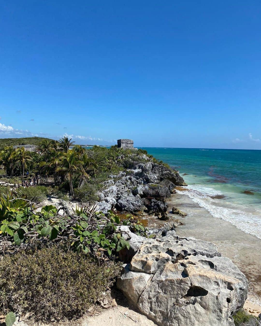 渋佐和佳奈さんのインスタグラム写真 - (渋佐和佳奈Instagram)「【#Cancún 旅行⑥✈️🇲🇽】  カサセノーテでダイビングしたあとは #トゥルム遺跡 と #プラヤデルカルメン へ！  トゥルム遺跡は 真っ青なカリブ海と 一千年以上前に建てられた神殿のコラボレーションが美しかったです🏛🌊  プラヤデルカルメンは 多くのお土産屋さんが並ぶ#キンタストリート を散策👒 メキシコらしいカラフルな可愛い商品がたくさんありましたが、 私は路地の屋台で見つけた 綺麗な貝殻のピアスを購入しました✨  街全体がカラフルで可愛かった〜❣️  #アメリカ #アメリカ在住 #アメリカ暮らし #シカゴ在住 #メキシコ　#Mexico #Cancún #リゾート  #tulum #tulummexico #playadelcarmen #playadelcarmenmexico  #旅行 #海外旅行 #旅 #trip #travel  #usa🇺🇸 #アナウンサー  #リポーター #シカゴ在住アナウンサー #announcer #reporter #wakanashibusa」3月7日 1時40分 - shibusa_wakana