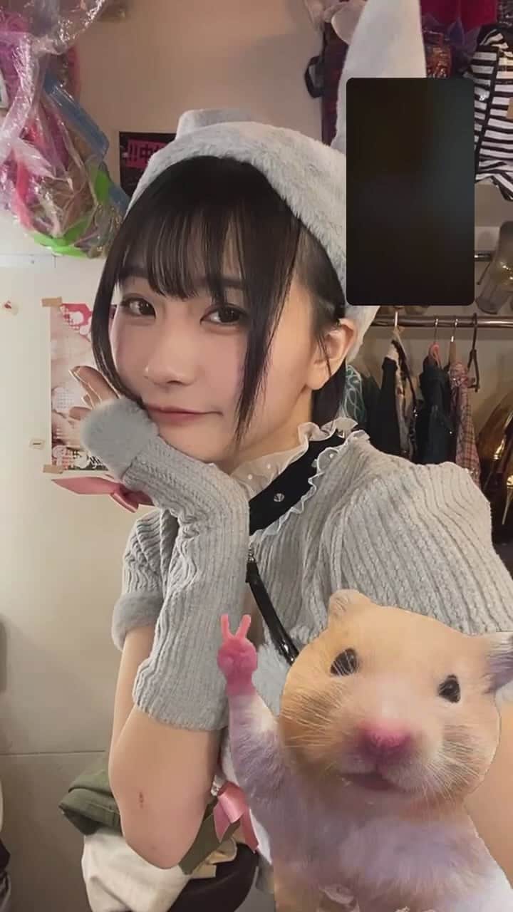 のインスタグラム
