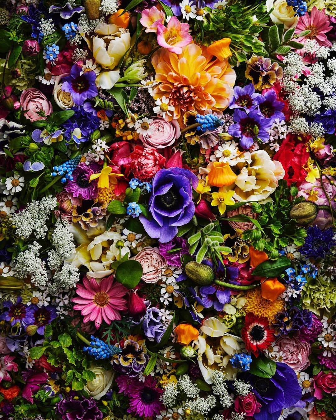 東信さんのインスタグラム写真 - (東信Instagram)「2023Flowers #amkk #amkkproject #makotoazuma #azumamakoto #東信花樹研究所 #東信 #jardinsdesfleurs #shiinokishunsuke #flowerart #flower #flowers #2023」3月7日 5時02分 - azumamakoto
