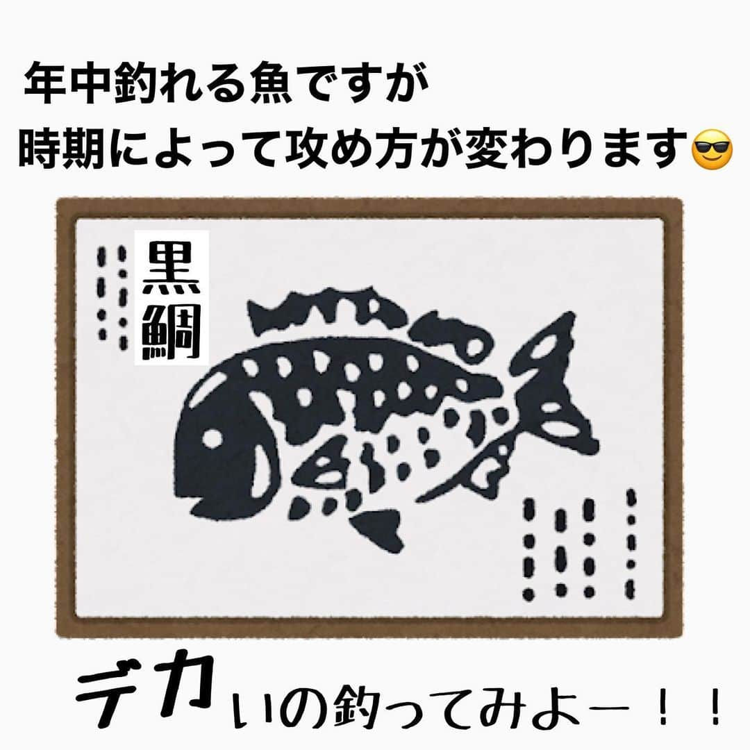 ペルビー貴子さんのインスタグラム写真 - (ペルビー貴子Instagram)「@fishing__info  他の釣り情報もチェック👆  いぶし銀✨クロダイ🐟 みなさんは釣ったことありますか？ 雑食で年中どこにでもいる魚ですが、釣るのは結構難しい！ 釣り方やエサを季節によって変えてみると釣りのバリエーションも増えて👍ですよ💡  釣り物が少ないと言われる3月ですが、一発大型狙ってみよー❣️😍  ---------------------------------------- 釣り情報配信　@fishing__info  釣り、アウトドア、魚料理に関する豆知識、お得情報、便利な釣具を中心に投稿しています🎣 ----------------------------------------  #釣り #フィッシング　#fishing　#釣り好きな人と繋がりたい  #釣り好き　#釣り人 #アングラー #魚釣り　#豆知識　#クロダイ#黒鯛　#チヌ　#釣り初心者 #乗っ込み　#釣り方 #ペルビー釣り情報配信 #ペルビー」3月7日 7時07分 - fishing__info