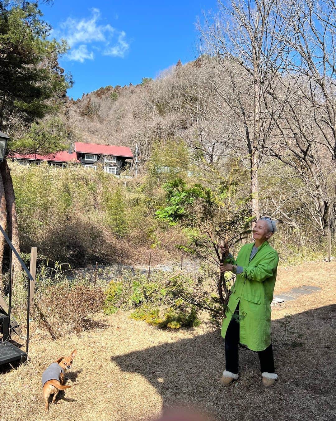 のインスタグラム：「⛰️別荘暮らしは大忙し👩🏼‍🌾🧤🪖🧹🧼🪣お客さんも含めて😅ずっと掃除してます😂それでも楽しいです👵🏻次のプロジェクトはOzzy達が自由に走り回れるdogrun🐾🐾🐾🐾🐾 It's all about cleaning , everyone pitches in, even guests😅🧹🪣🧤🧼The next project is to fence off a dogrun for Ozzy & friends🐶🐕🐾🐾🐾🐾🐾😊  🕊️Peace & Kindness, may all your dreams come true🕊️  #mountainhouse #別荘ライフ #iamozzy🐶 #元保護犬」