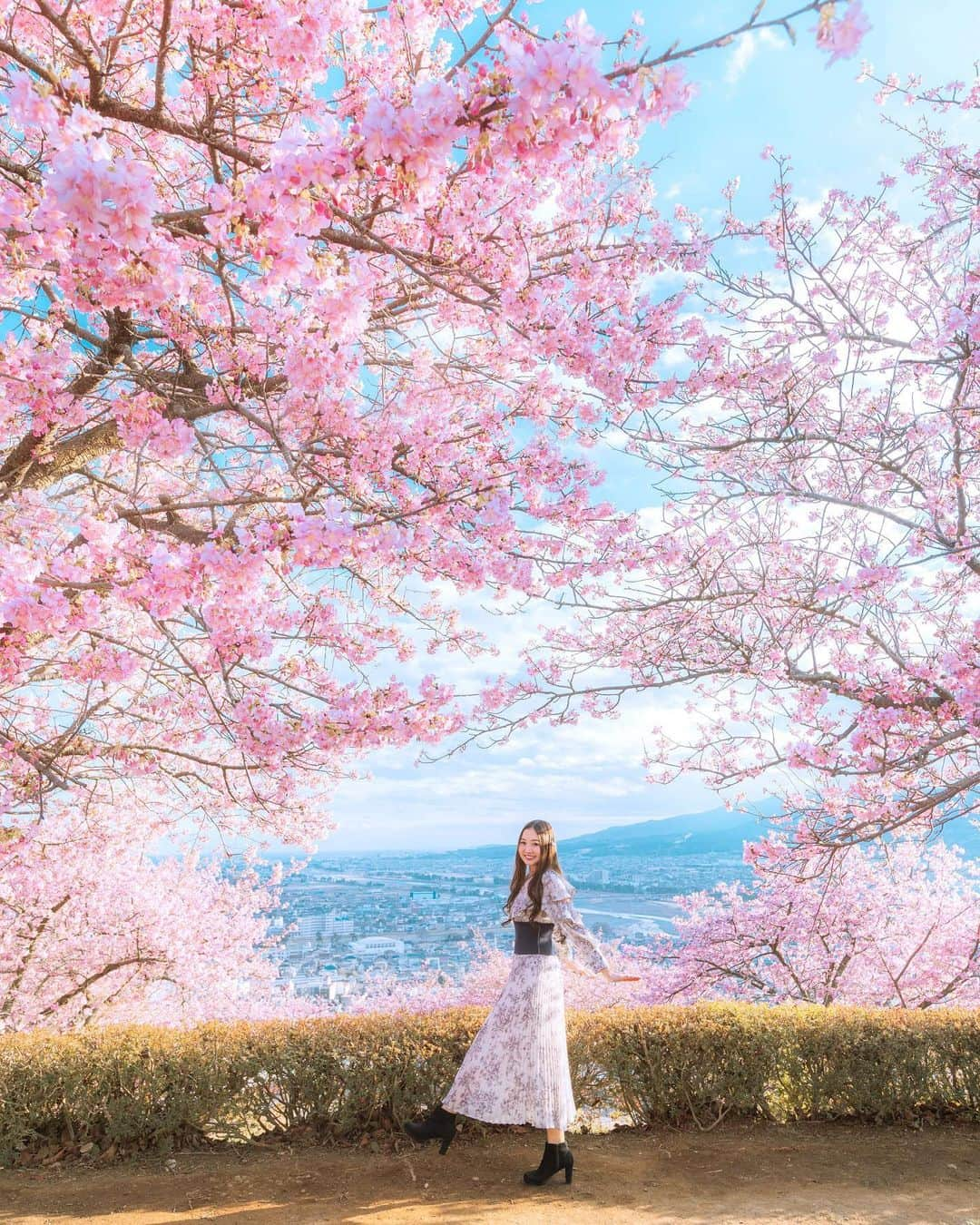 ももせゆきのインスタグラム：「🌸 圧巻の桜フレーム🌸📷  広角レンズ×桜×青空の組み合わせが大好き♡  ・ ・ 🌸@sherry_1113 シャッター押してくれてありがとう♥️  🌸 #桜  #河津桜 #お花見 #春旅 #retrip_news  #タビジョ #daily_photo_jpn  #japan_daytime_view  #TokyoCameraClub #Lovers_Nippon #art_of_japan_  #被写体モデル  #hubsplanet #awesomeearthpix #awesometravel #1x_japan  #IGersJP#ビジョビ  #genic_mag #cherryblossom  #VSCOportrait #pr0ject_soul  #女子旅  #松田山ハーブガーデン  #ファインダー越しの私の世界 #写真好きな人と繋がりたい #春コーデ  #春服  #桜ポートレート」