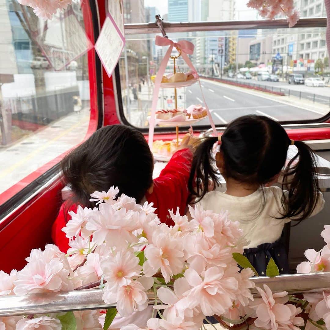 LINAさんのインスタグラム写真 - (LINAInstagram)「ホワイトデーに、アフターヌーンティデート☕️ バスの中でアフターヌーンティができるのはロンドンバスだけみたい👀 ルートが表参道ー東京タワーー六本木ー渋谷でもうすぐ桜が咲くルートだからこの時期はとても人気みたい🌸  男の子もバスがトーマスの　#バーディ に似てたみたいで大喜び笑 大人料金で1人約6500円🚌  #アフタヌーンティー　#桜アフタヌーンティー #ロンドンバス #バスツアー　#ホワイトデーデート　#お花見バスツアー」3月7日 17時57分 - rinatea0519