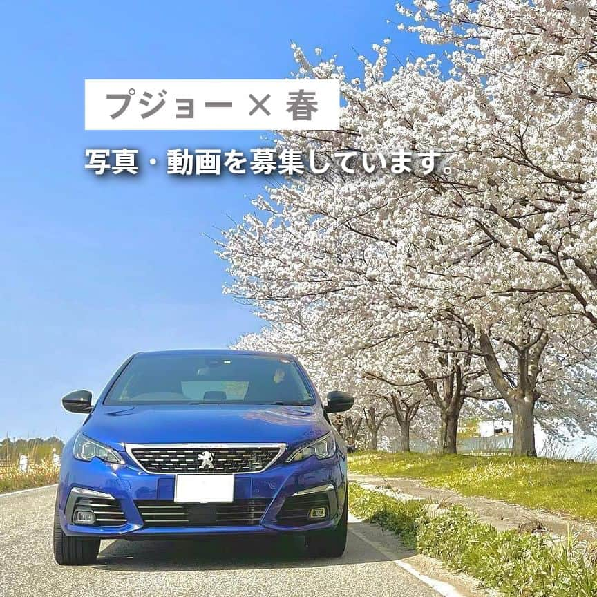 Peugeot_jpのインスタグラム：「プジョーとともに過ごした瞬間を シェアしてみませんか？  今回は「プジョー × 春🌸」をテーマに 写真や動画を募集しています。  【投稿方法】 ① 当アカウント（@peugeot_jp）をタグ付け ② #プジョーライフ をつけて投稿  投稿いただいたお写真は、プジョー公式アカウントで ご紹介させていただくことがあります。  皆さまの投稿をお待ちしております。  #Peugeot #プジョー  #車写真 #桜のある風景」