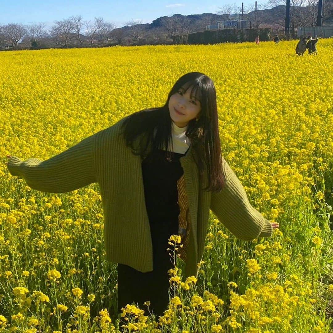 栗田桃花のインスタグラム：「菜の花ver💛 カーディガンが同化してるww 1面真っ黄色でめちゃめちゃ綺麗でした！ここだけ暖かい気がしました！(気のせい)  リールの方に久しぶりすぎるダンス動画も載せてるので良かったらそっちも見てください🥰  #みなみの桜と菜の花まつり」