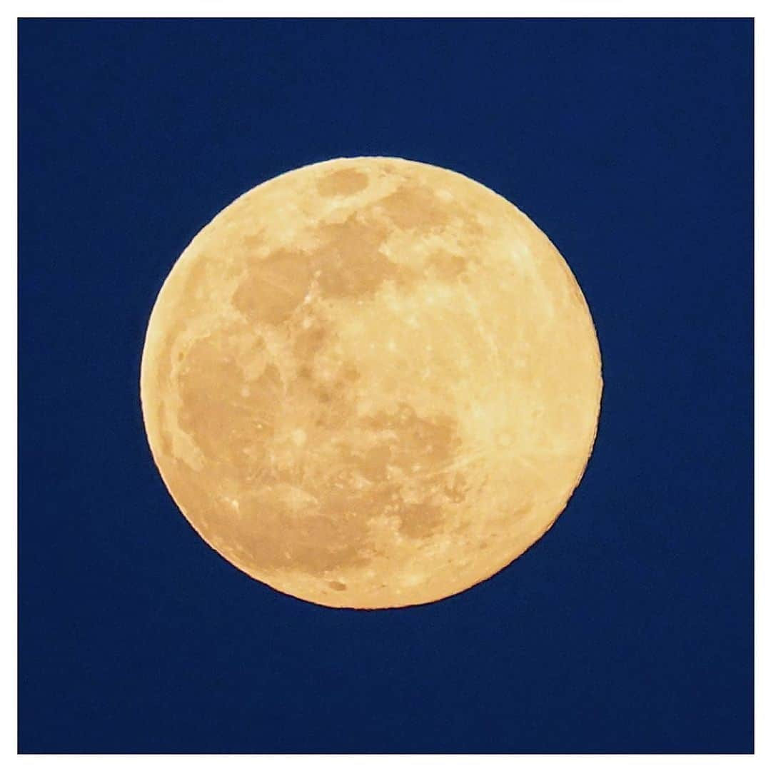 さだまさしさんのインスタグラム写真 - (さだまさしInstagram)「今日の満月🌕 ３月の満月ワームムーン（Worm Moon） . #満月 #ワームムーン #wormmoon #さだまさし #sadamasashi」3月7日 18時18分 - sada_masashi