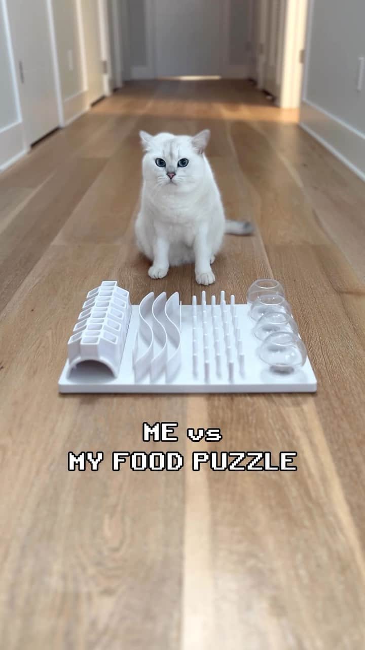 のインスタグラム：「It’s a-me, the undefeated food puzzle champion.」