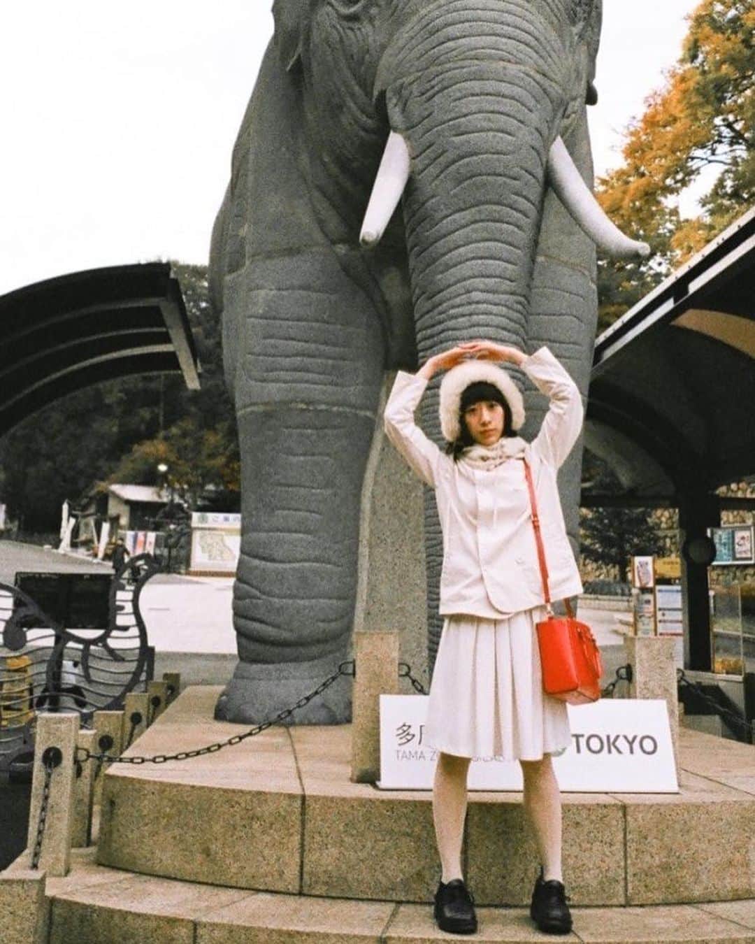 椎名琴音さんのインスタグラム写真 - (椎名琴音Instagram)「明日は映画を観に行くよ🍋 ひさしぶりの大きな映画館  東京の最高気温は、20°🌞 セーター1枚で良いですね  動物園とか久しぶりに行きたいなー 多摩動物公園は、何度か行ったことあるんですがすごく広くて、蝶々のいる温室が印象的でした🦋」3月7日 19時05分 - sheena_cyborg_fourandahalf