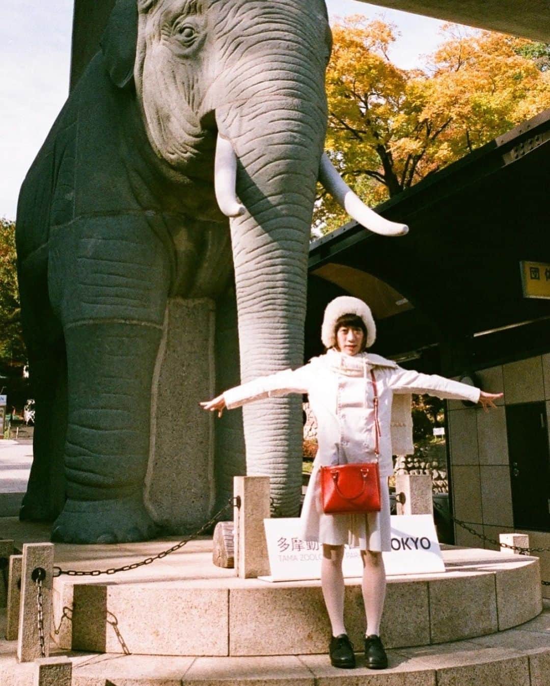 椎名琴音さんのインスタグラム写真 - (椎名琴音Instagram)「明日は映画を観に行くよ🍋 ひさしぶりの大きな映画館  東京の最高気温は、20°🌞 セーター1枚で良いですね  動物園とか久しぶりに行きたいなー 多摩動物公園は、何度か行ったことあるんですがすごく広くて、蝶々のいる温室が印象的でした🦋」3月7日 19時05分 - sheena_cyborg_fourandahalf