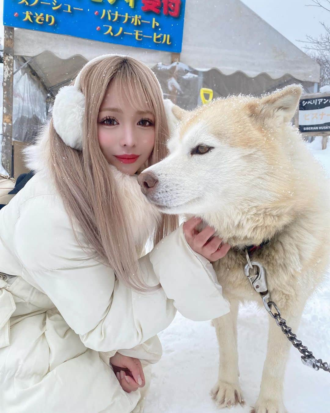 ぽょ姫のインスタグラム：「𝙽𝚘𝚛𝚝𝚑𝚂𝚊𝚏𝚊𝚛𝚒𝚒 ⁑ 【北海道旅行1日目】 ウィンターアクティビティするために ノースサファリサッポロに行ってきました‼︎ 様々な動物たちとふれあうことができる体験型動物園🦁🦊 でもこの日は冬期営業で土日しか動物園やってなかったので ウィンターアクティビティだけしました💕 ⁑ 人気No.1の犬ぞり体験🐕 🛷 ハスキーちゃんたちが頑張ってくれました( Ü ) 本当に可愛過ぎて癒しでハスキー天国でした。 プランに入ってるバナナボートも体験したけど 手と顔が痛くなるぐらいめっちゃ寒い🥶 スリル満点で最高だけど寒すぎるから防寒必須。 ⁑ 続きはストーリー(ハイライト)で語るので よかったら見てね☃️ ⁑ ⚘ ノースサファリサッポロ 🚩 北海道札幌市南区豊滝４６９−１  #北海道旅行 #北海道 #北海道観光 #北海道土産 #北海道メディア #札幌 #札幌旅行 #札幌観光 #ノースサファリサッポロ #ハスキー #ハスキー犬 #動物園 #犬ぞり #犬ぞり体験 #真冬のバナナボート」