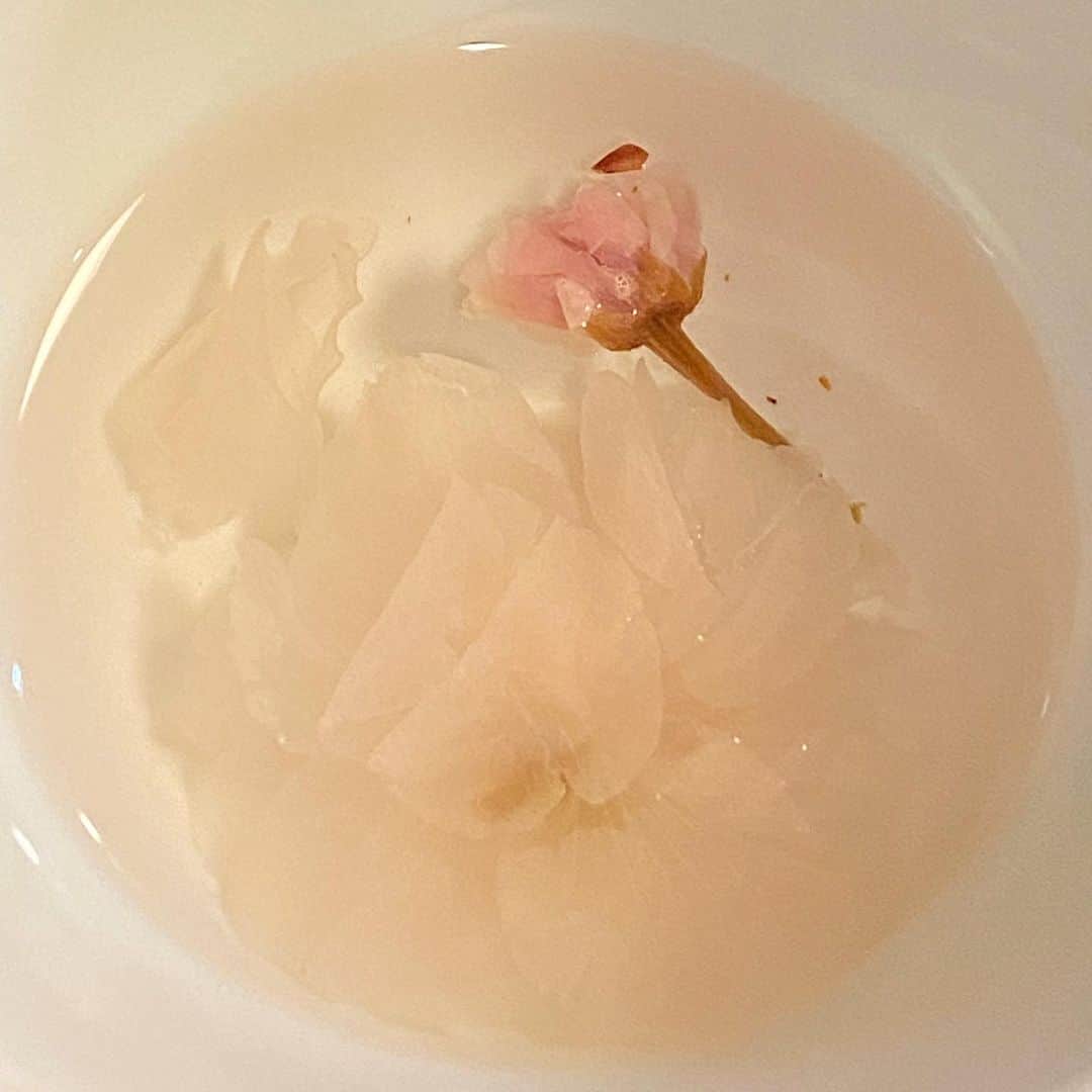 Sachiのインスタグラム：「February」