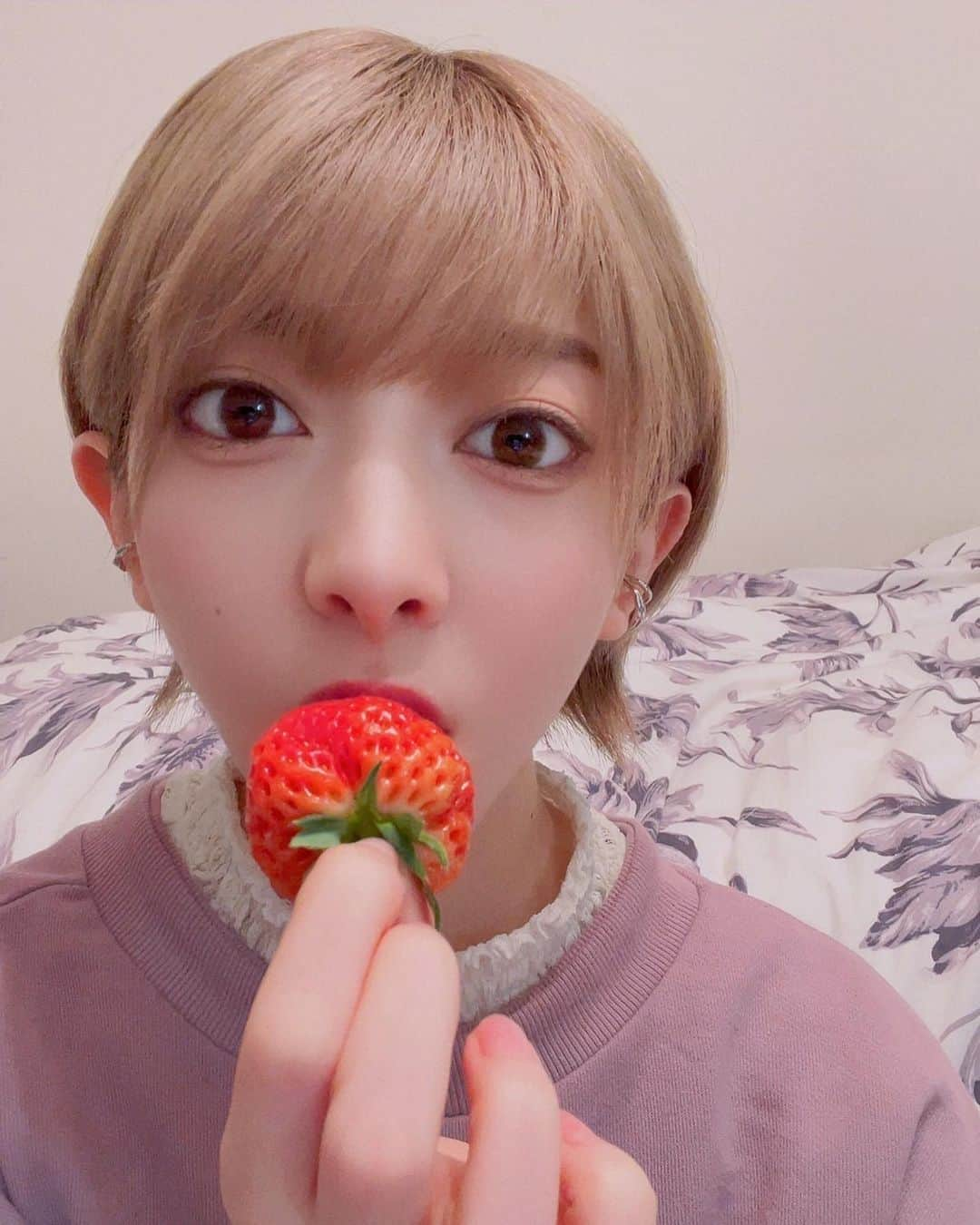 菅原りこさんのインスタグラム写真 - (菅原りこInstagram)「聖籠町 『へいきち農園』さんの【越後姫🍓】 1粒1粒が大きくてしっかりしていて 箱を開けただけでいちごのいい香りがふわ〜っと広がります🤗🍓 柔らかいのに食べるとサクッと美味しい音♡ 甘くてジューシーで最高に美味しいいちご『越後姫🍓』 目も耳もお口も幸せになりたい皆様、ぜひ『へいきち農園』さんの【越後姫🍓】食べてみてください🤗🍓✨🍓✨」3月7日 12時29分 - cherryfairy1123