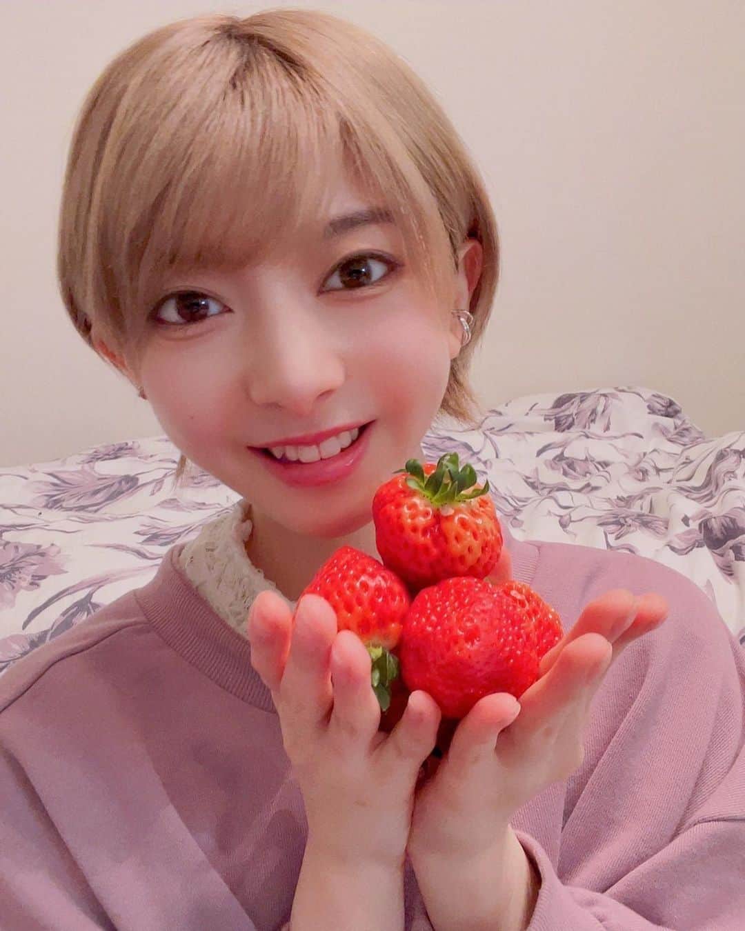 菅原りこのインスタグラム：「聖籠町 『へいきち農園』さんの【越後姫🍓】 1粒1粒が大きくてしっかりしていて 箱を開けただけでいちごのいい香りがふわ〜っと広がります🤗🍓 柔らかいのに食べるとサクッと美味しい音♡ 甘くてジューシーで最高に美味しいいちご『越後姫🍓』 目も耳もお口も幸せになりたい皆様、ぜひ『へいきち農園』さんの【越後姫🍓】食べてみてください🤗🍓✨🍓✨」