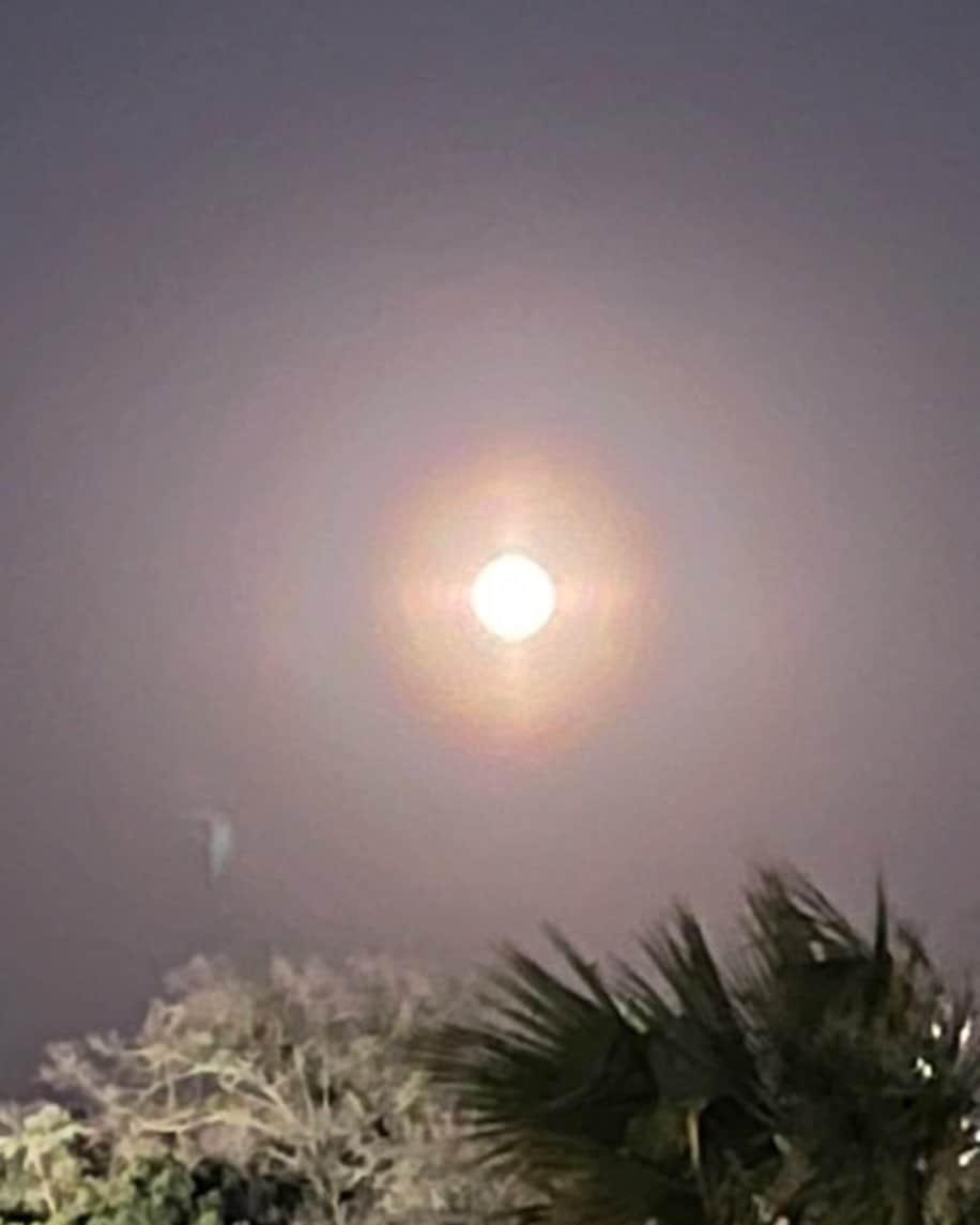 羽田美智子さんのインスタグラム写真 - (羽田美智子Instagram)「今夜は満月ですね🌕  お仕事で訪れた江ノ島で夕暮れの富士山のシルエットと満月の煌めきに 癒されてます✨✨  満月を写真に撮るって難しいですが💦 まだご覧になってない方に届けーと思い撮ってみました。  もうご覧になってらっしゃるかもしれませんが、 どこかで空を眺めてみてくださいね❣️ 美しい満月です🌕  皆様に素敵なことがたくさんありますように❣️」3月7日 19時26分 - michikohada