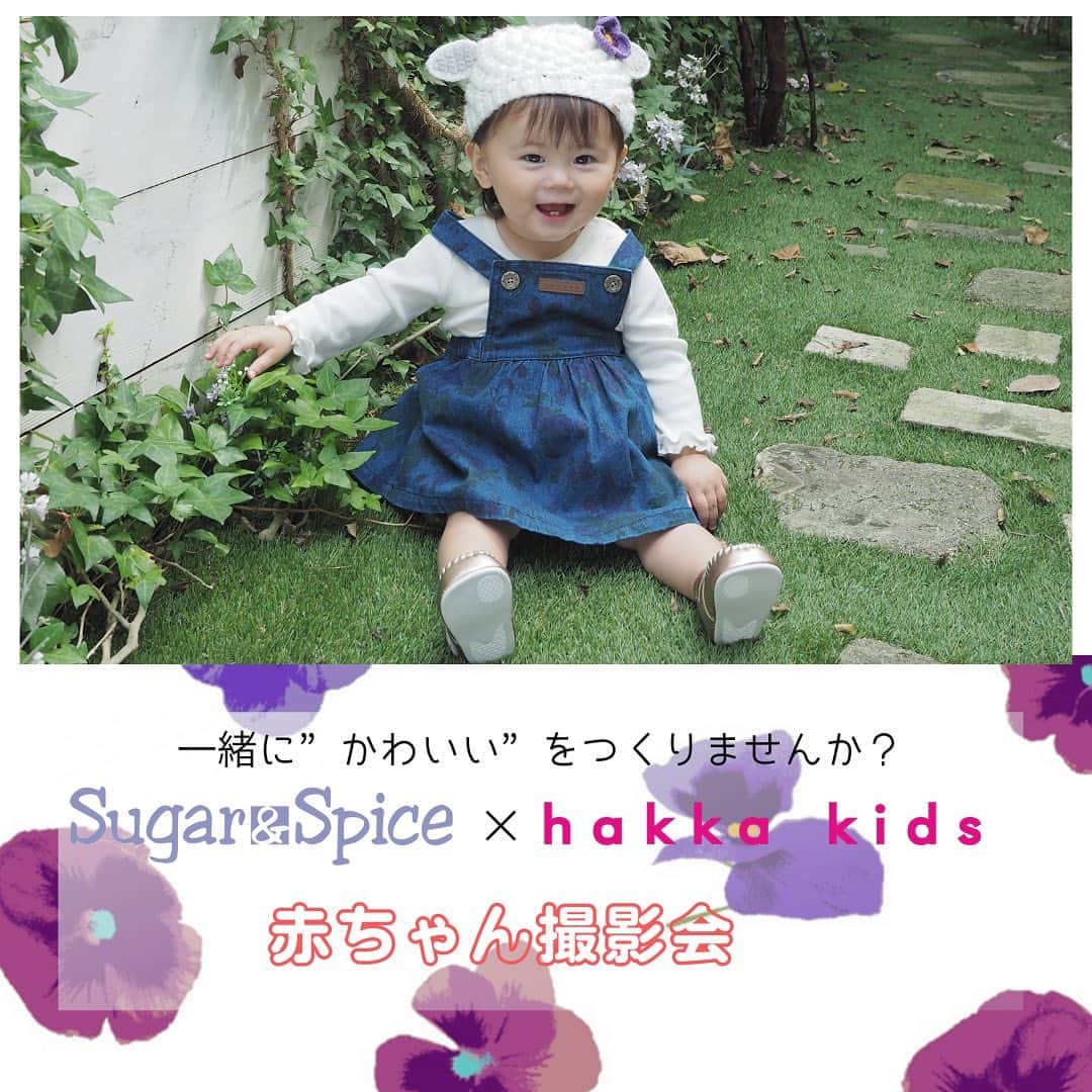 佐藤すみれのインスタグラム