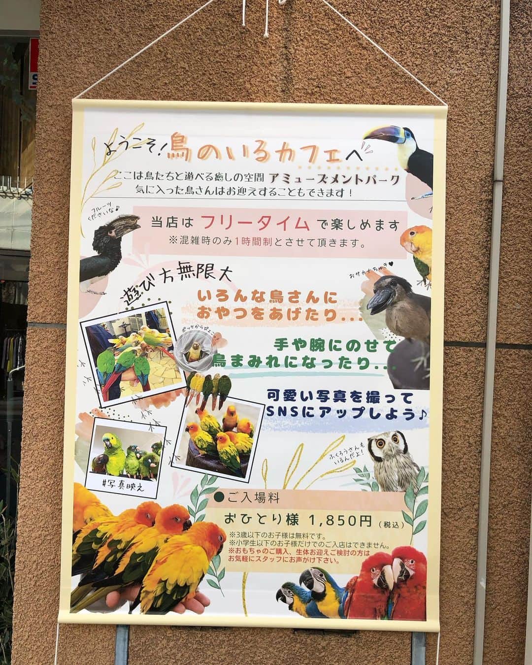 松井理子さんのインスタグラム写真 - (松井理子Instagram)「#鳥のいるカフェ千駄木店 最高😘  癒されまくるタイム」3月7日 16時37分 - ume_ume_phot