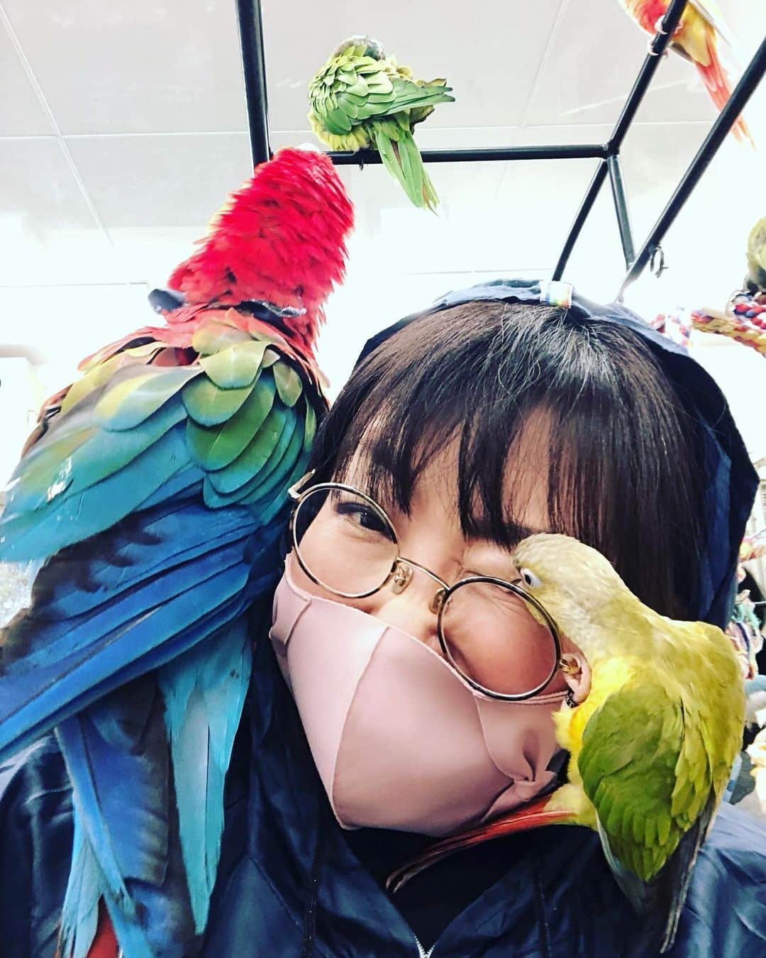 松井理子のインスタグラム：「#鳥のいるカフェ千駄木店 最高😘  癒されまくるタイム」