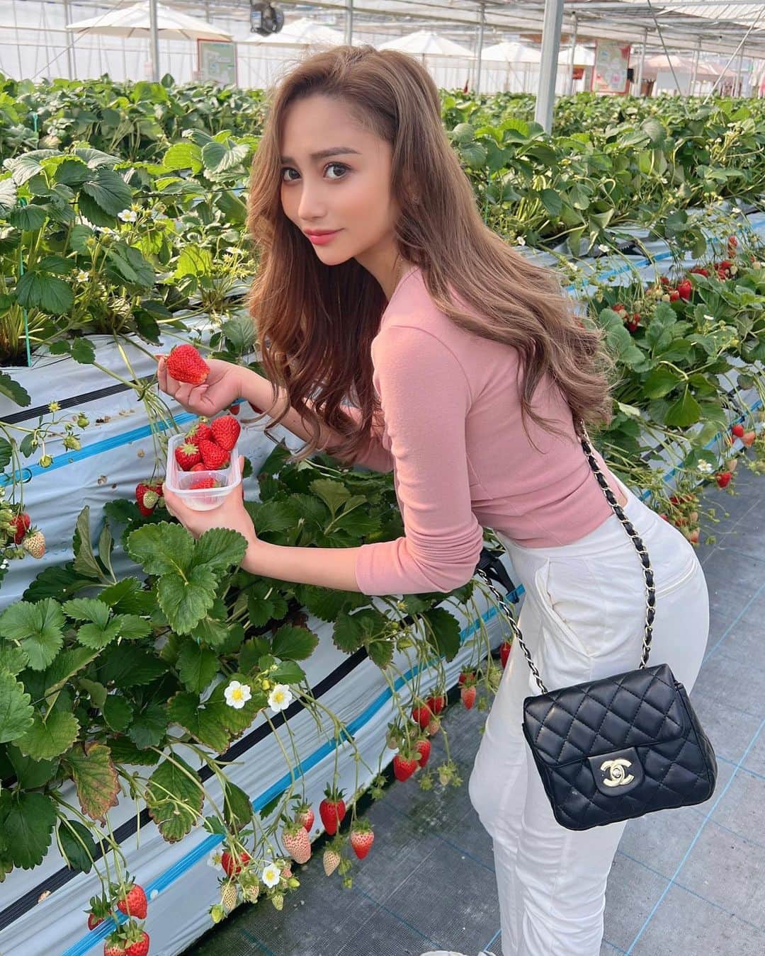 カイラのインスタグラム：「🍓🍓🍓 @nagashio_farm」